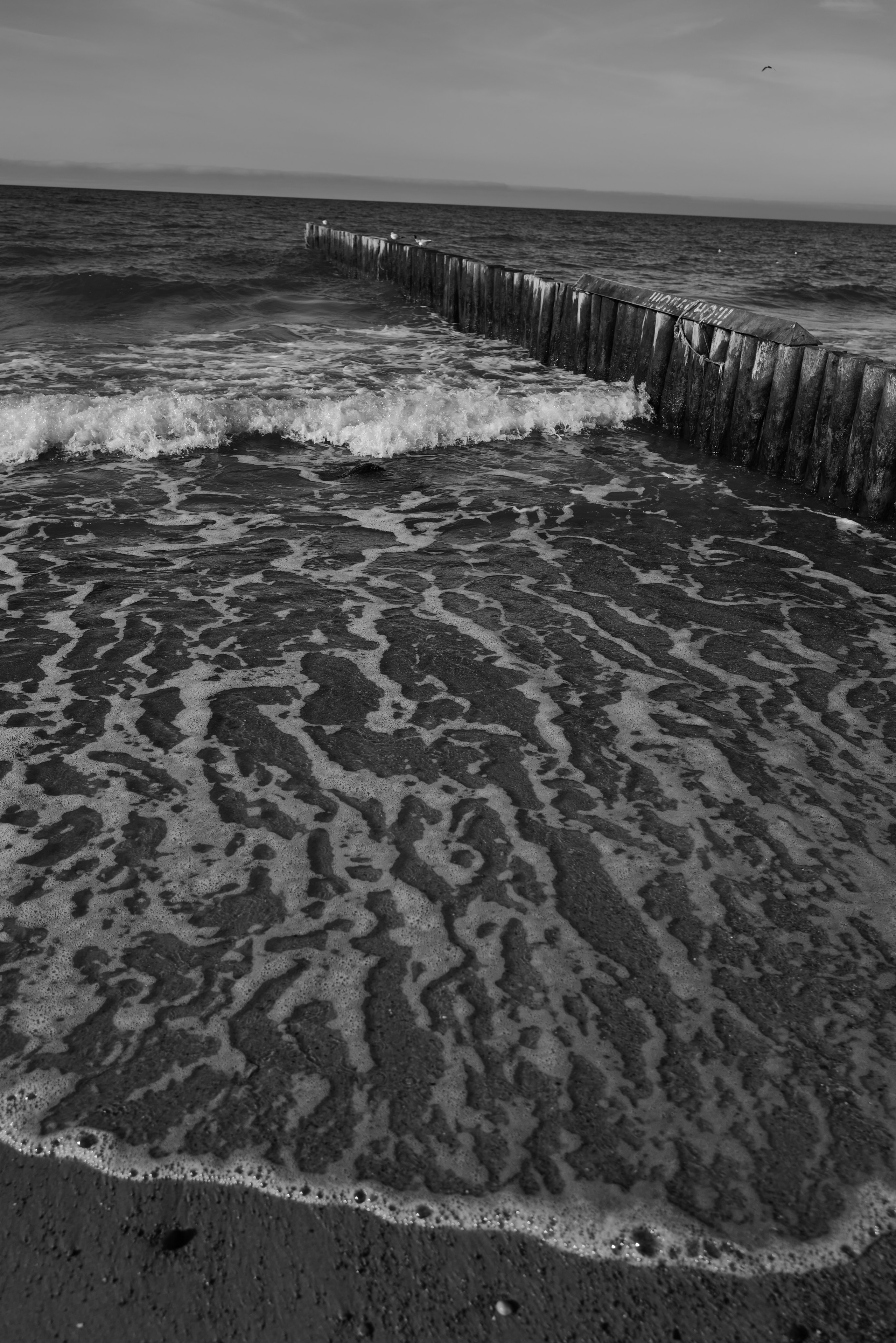 Zelenogradsk. Фотограф София Комкина