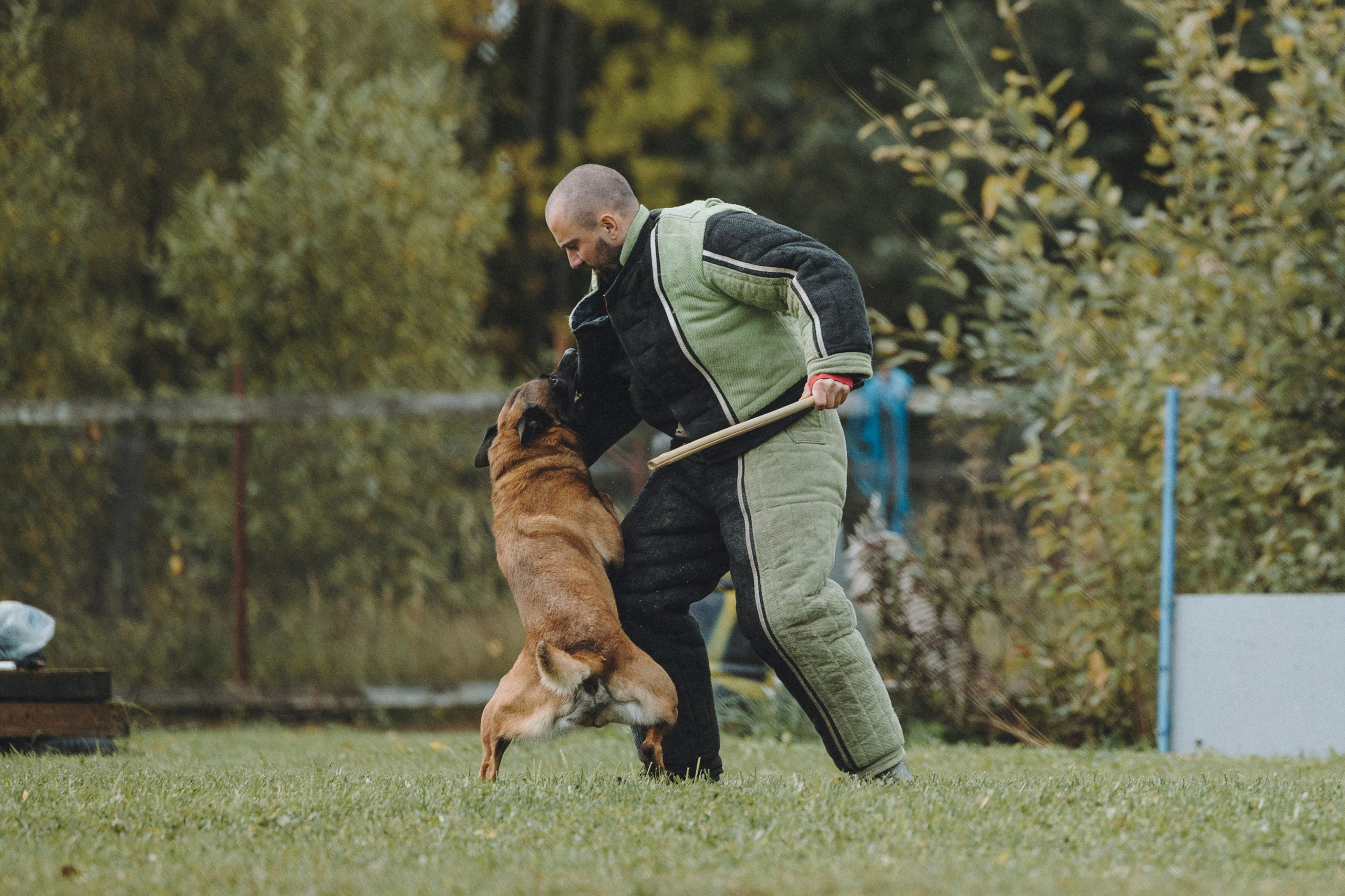 Испытания по мондьорингу г. Пушкин 29.09.2024. Фотограф-анималист Анна Маринич