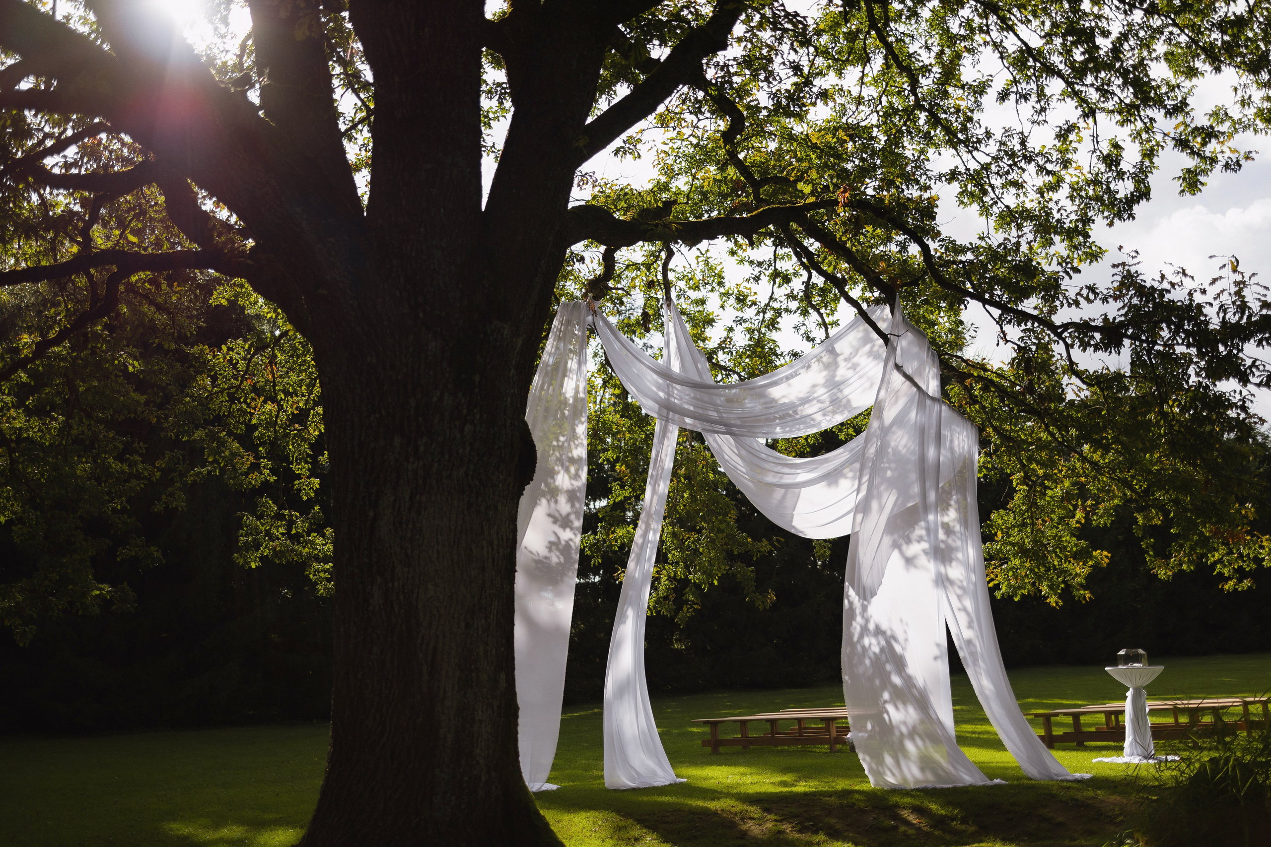 P&V. Свадебный фотограф Лиза Макатович Беларусь Минск