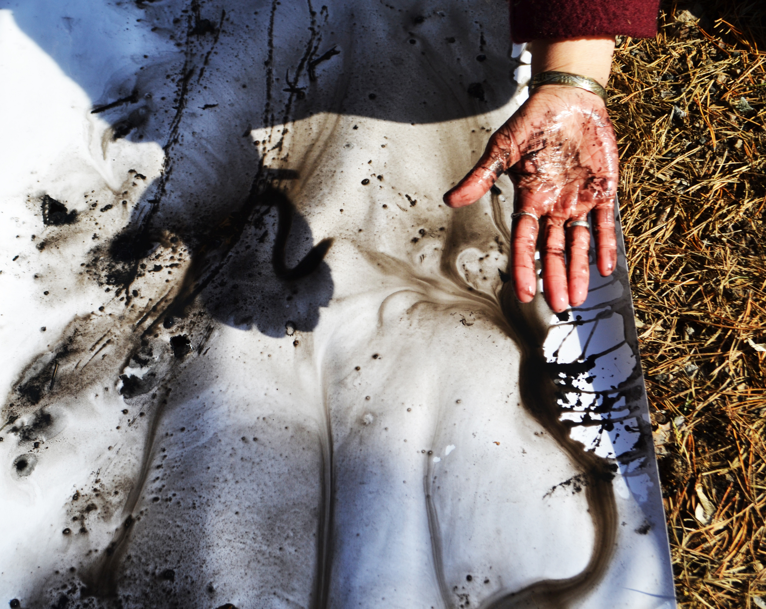 Акция «Путь революции». Художник Ольга Гражданкина