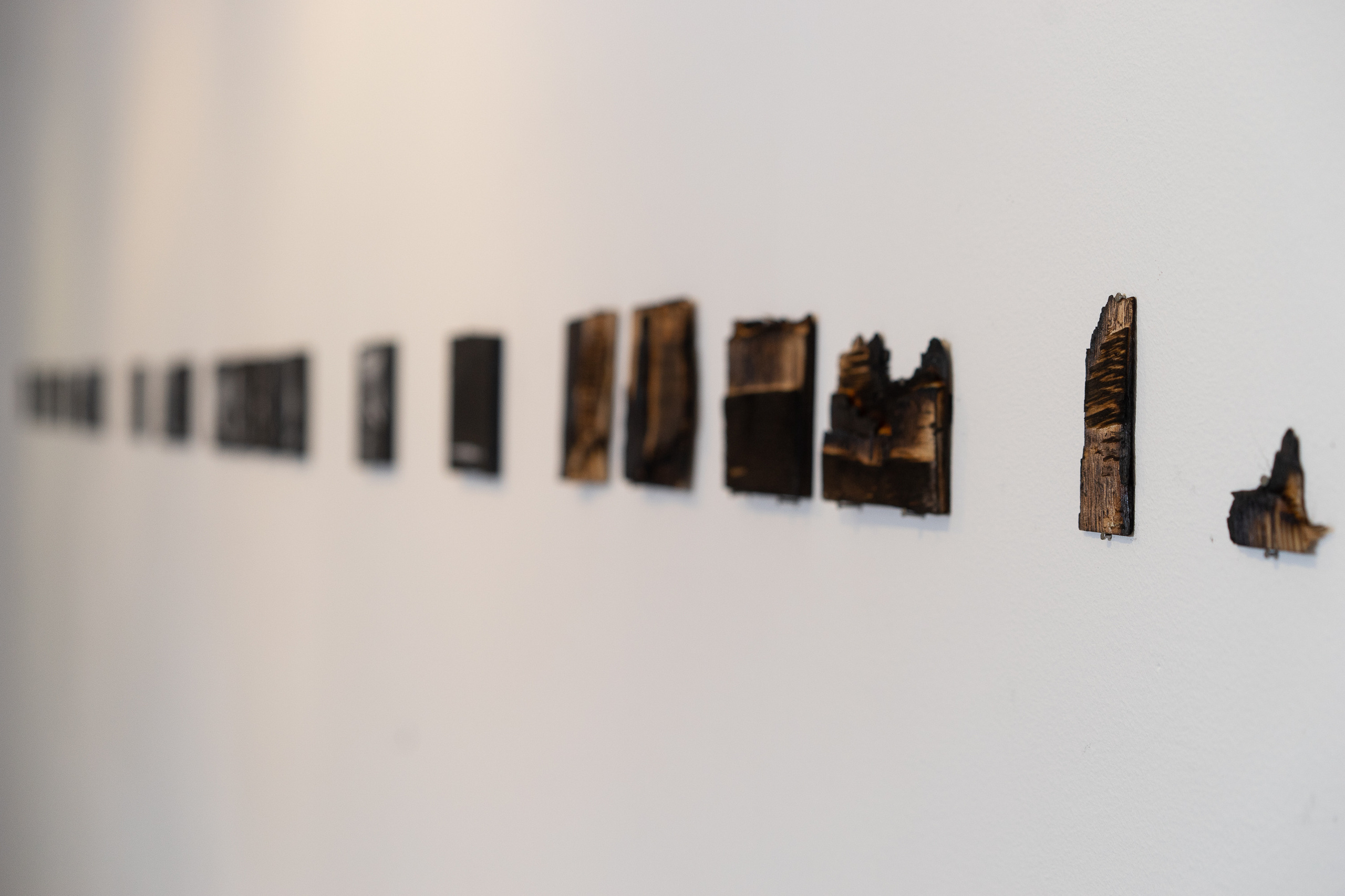 Проект «В пространстве памяти». Художник Ольга Гражданкина