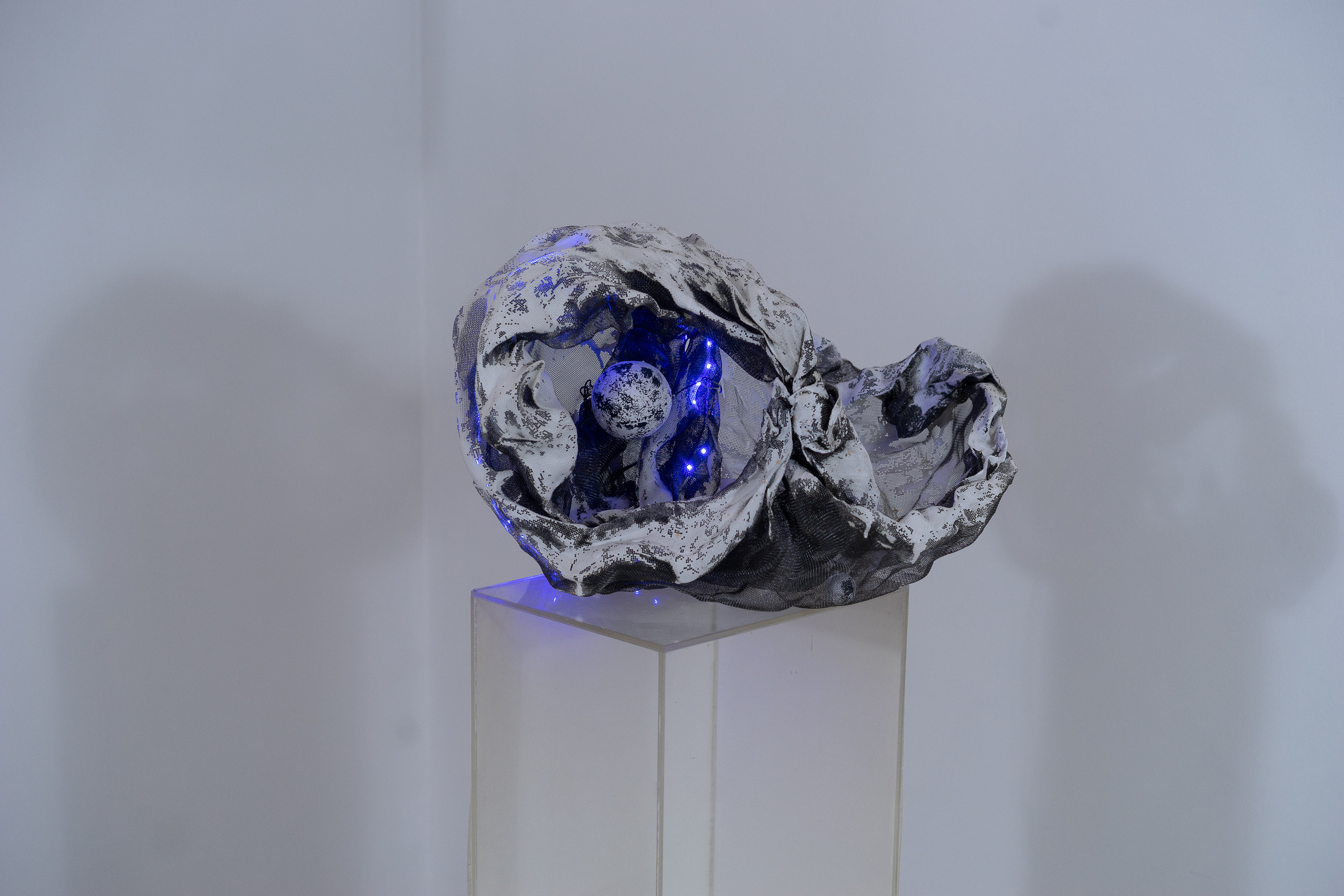 Проект «Незабудки». Художник Ольга Гражданкина