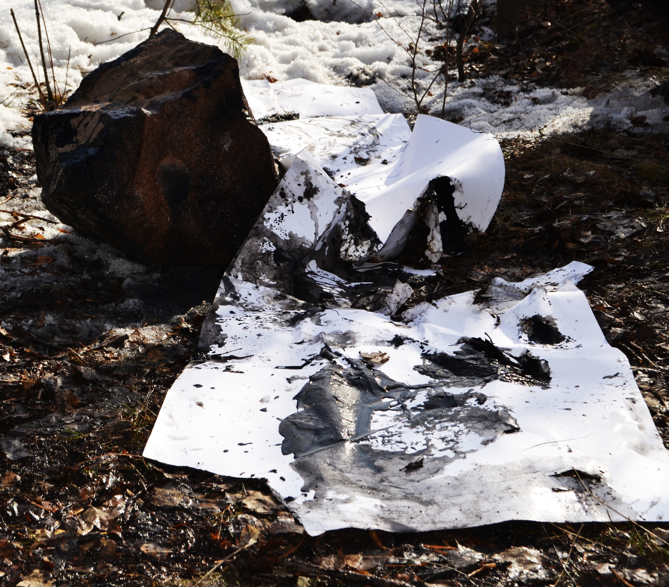 Акция «Путь революции». Художник Ольга Гражданкина