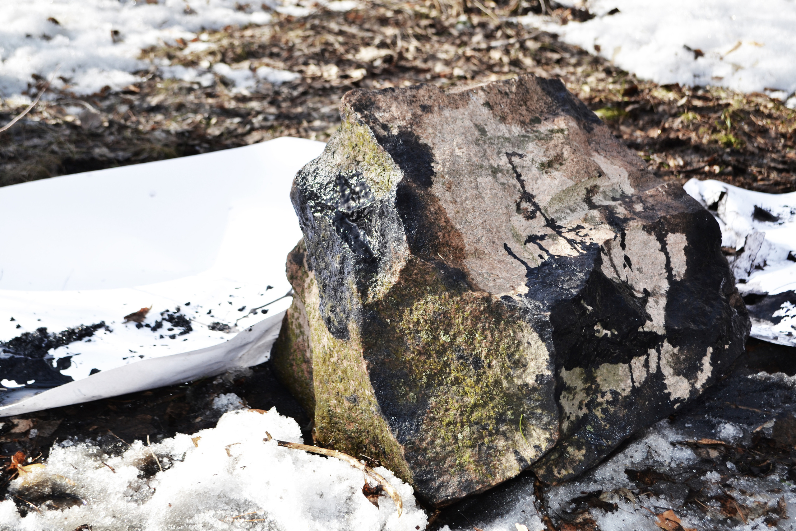 Акция «Путь революции». Художник Ольга Гражданкина