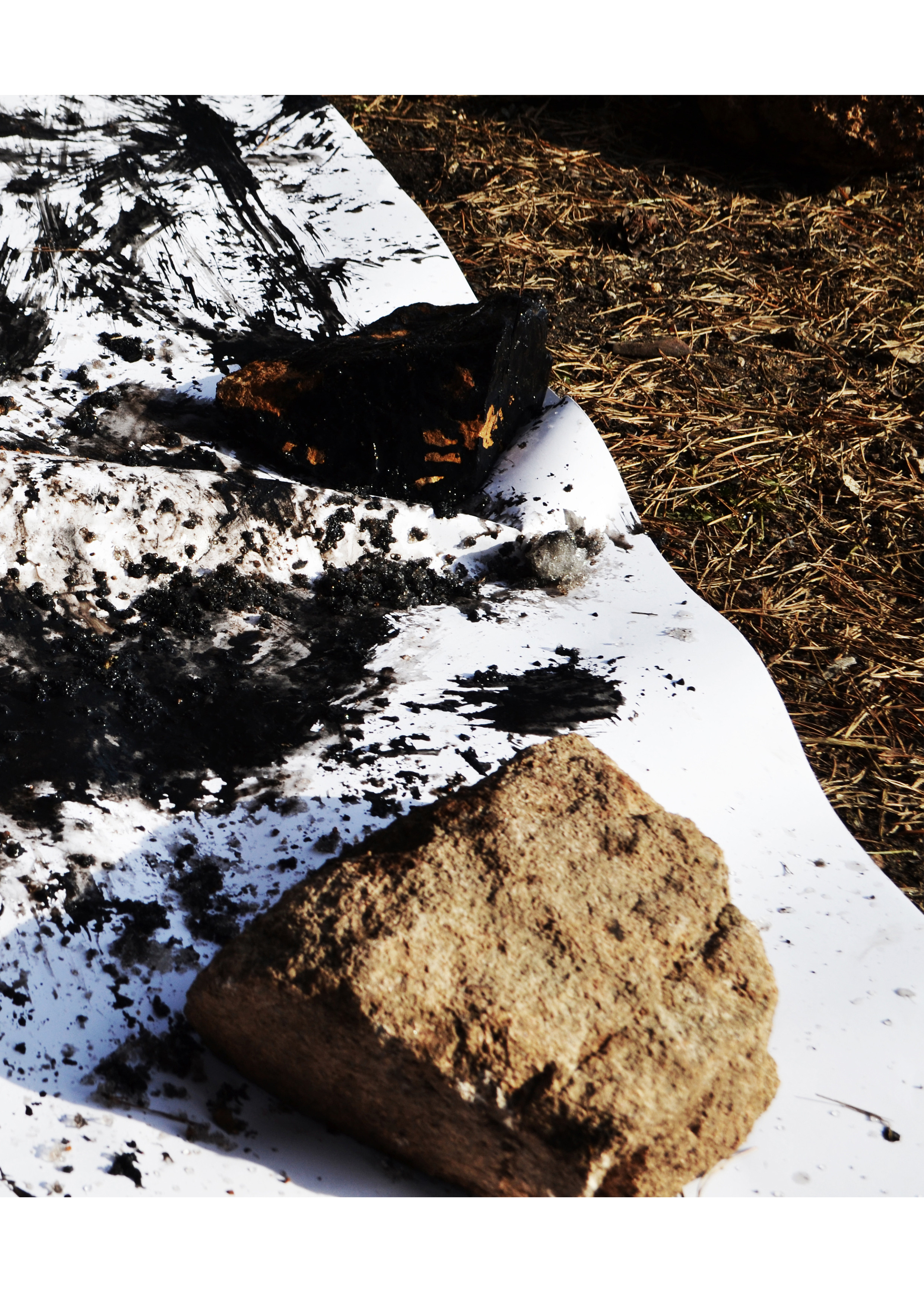 Акция «Путь революции». Художник Ольга Гражданкина