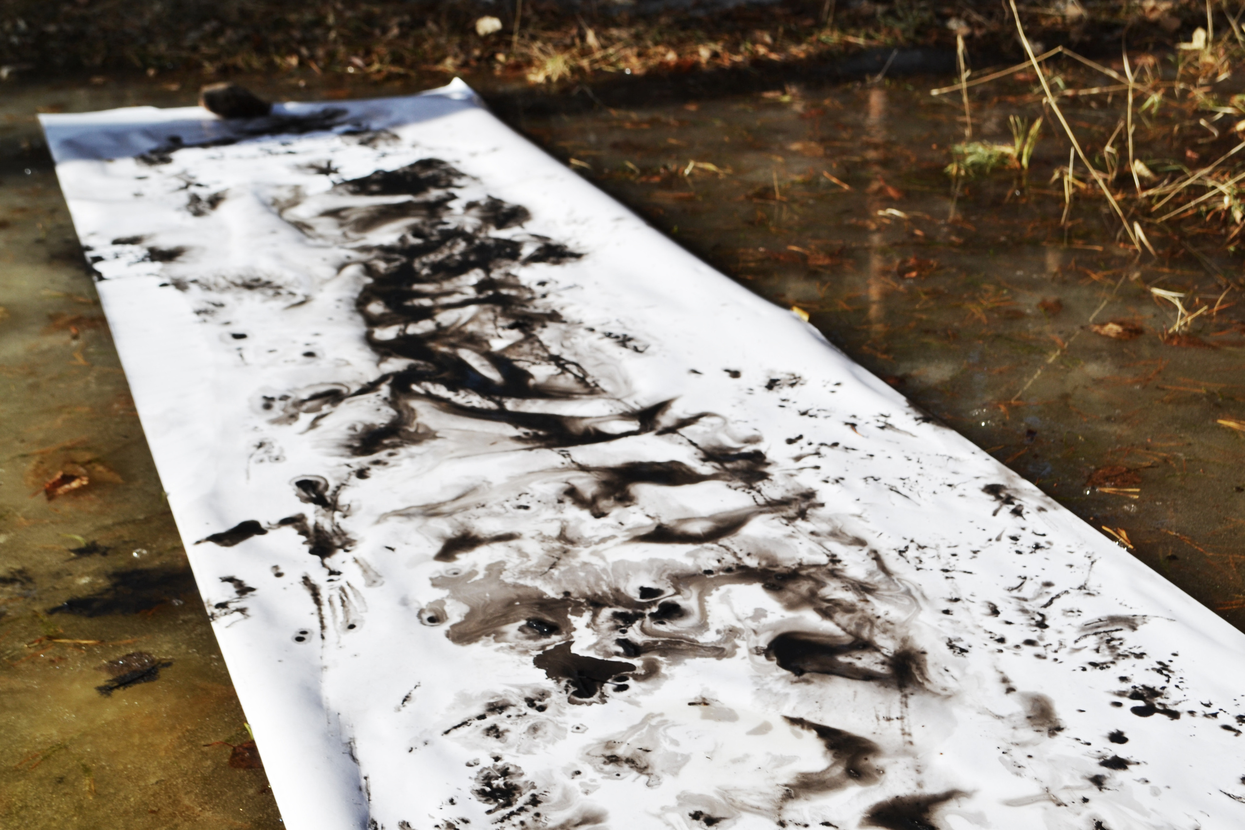 Акция «Путь революции». Художник Ольга Гражданкина