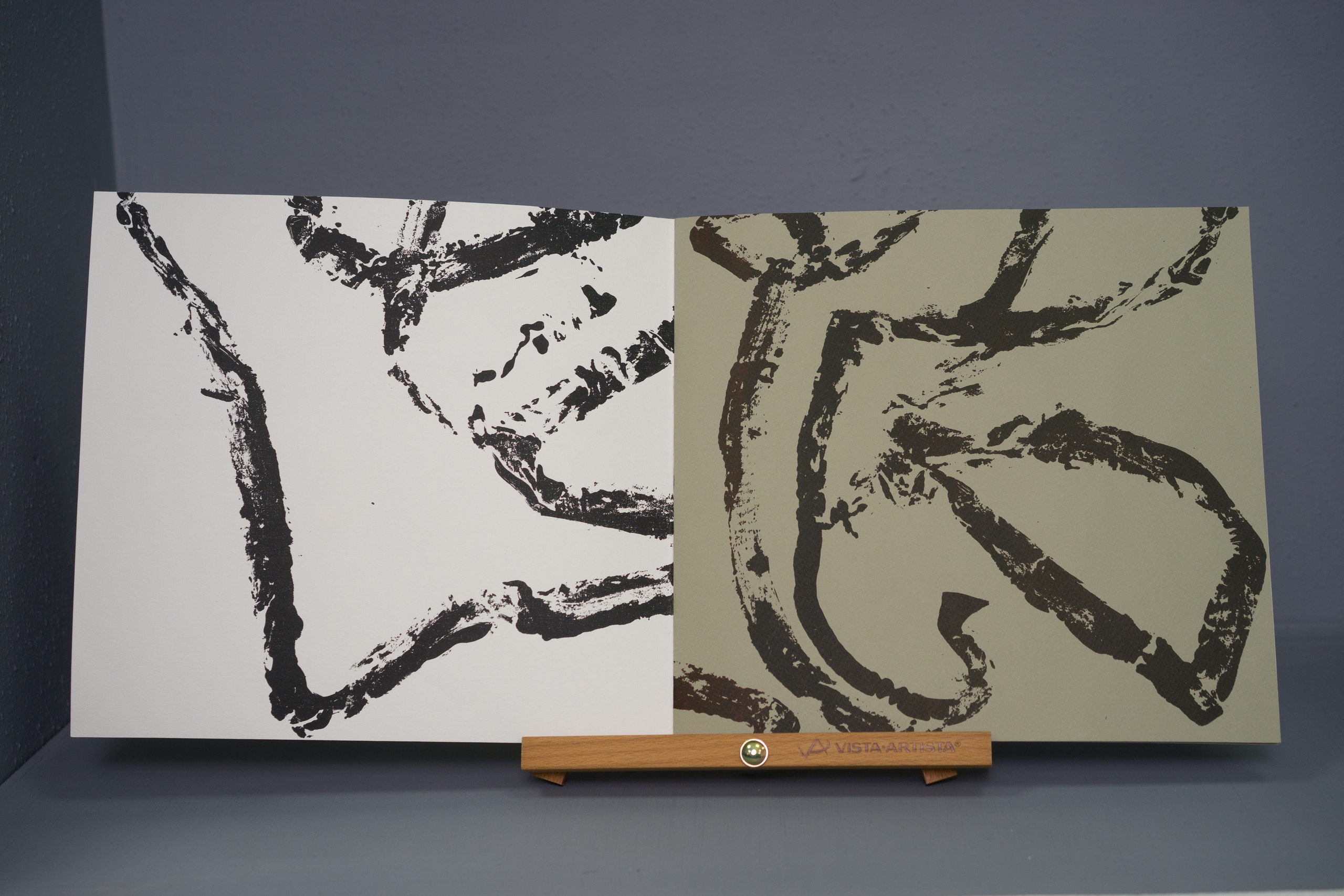 Проект Ольги Гражданкиной «Ленты». Художник Ольга Гражданкина