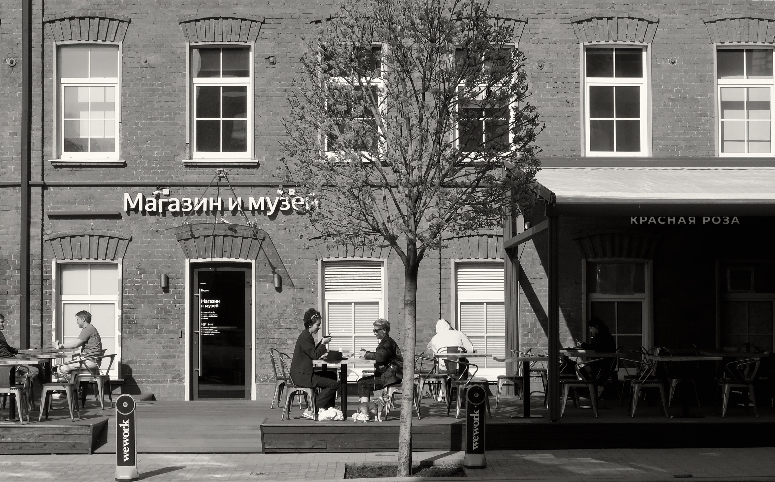 Приятная встреча.