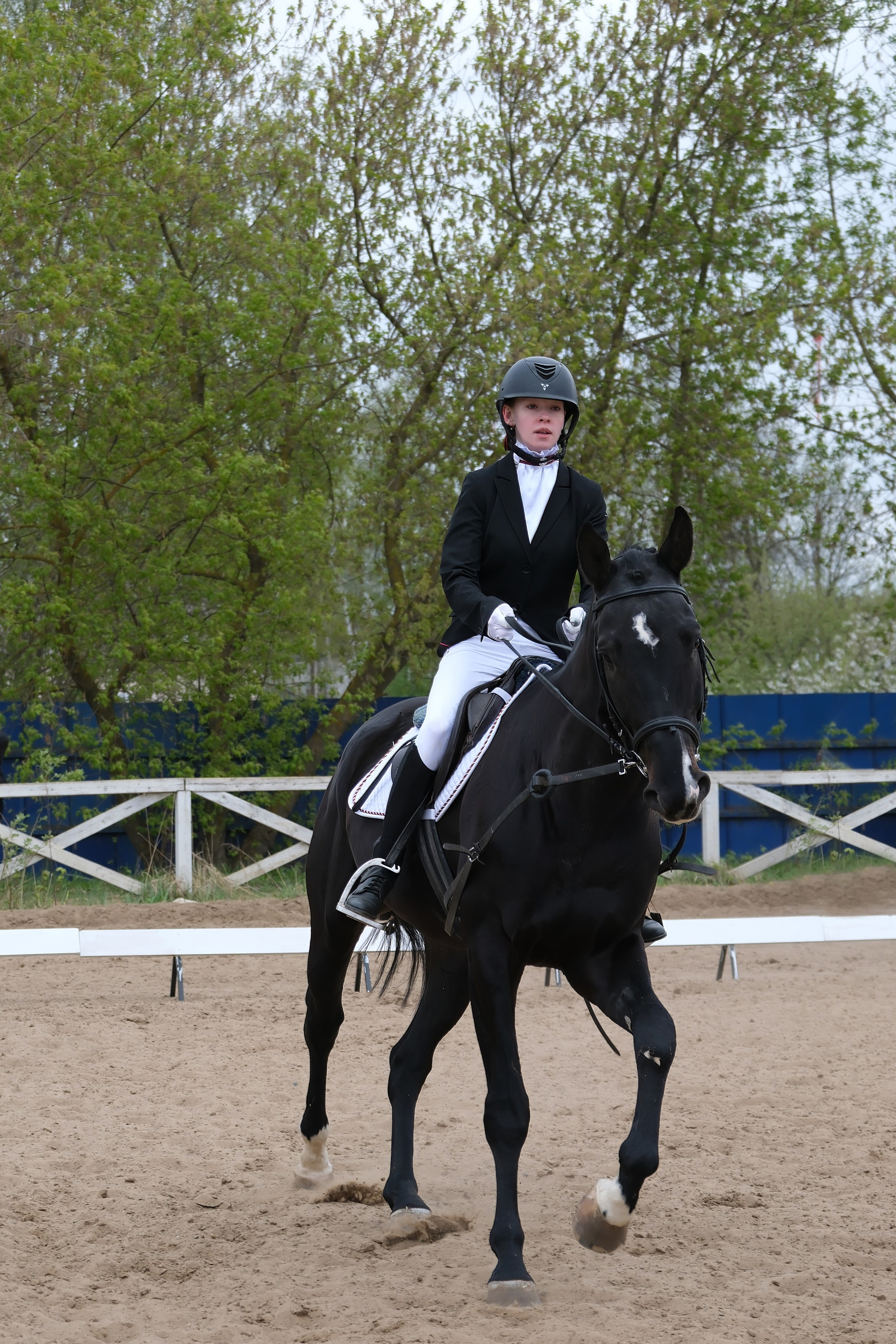 Соревнования по конному спорту в КСК «АЛЛЮР»!. Добро пожаловать в студию «Цифровой скульптор»  где искусство встречается с технологиями!