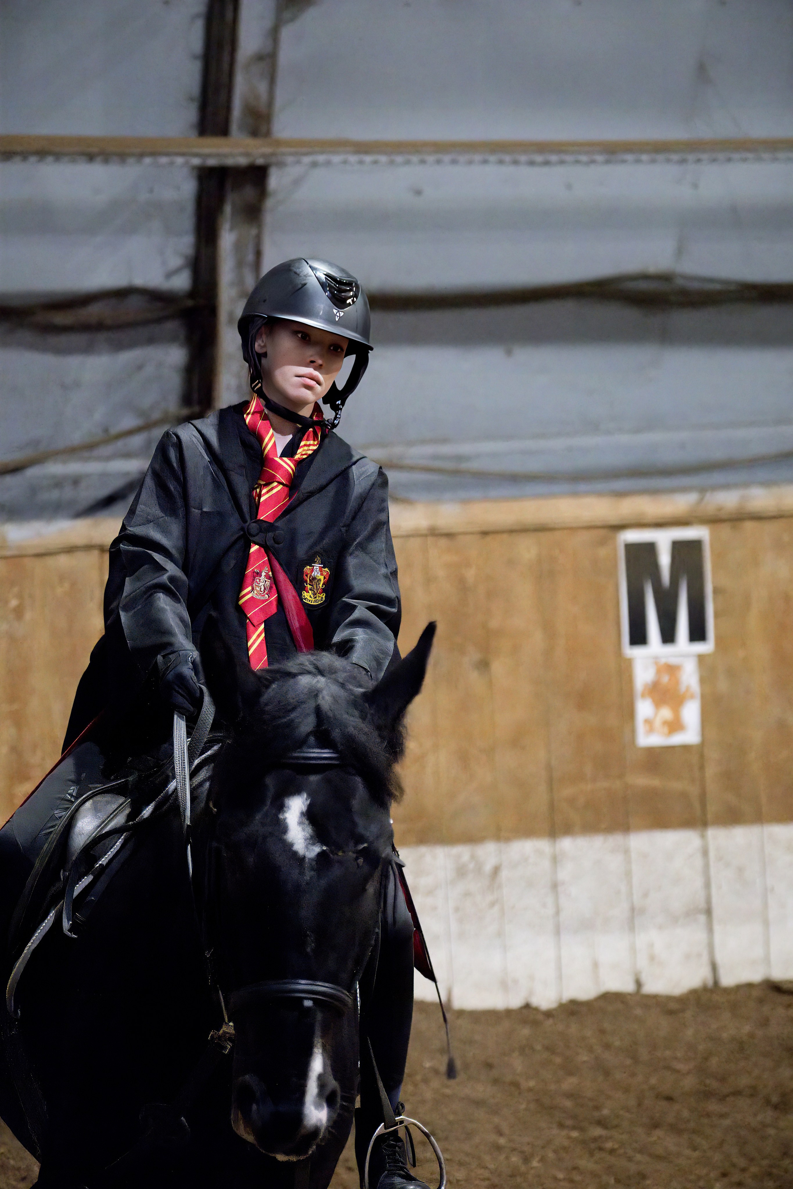 Волшебный турнир в Конно-спортивном клубе «АЛЛЮР» Нижний Новгород. Добро пожаловать в студию «Цифровой скульптор»  где искусство встречается с технологиями!