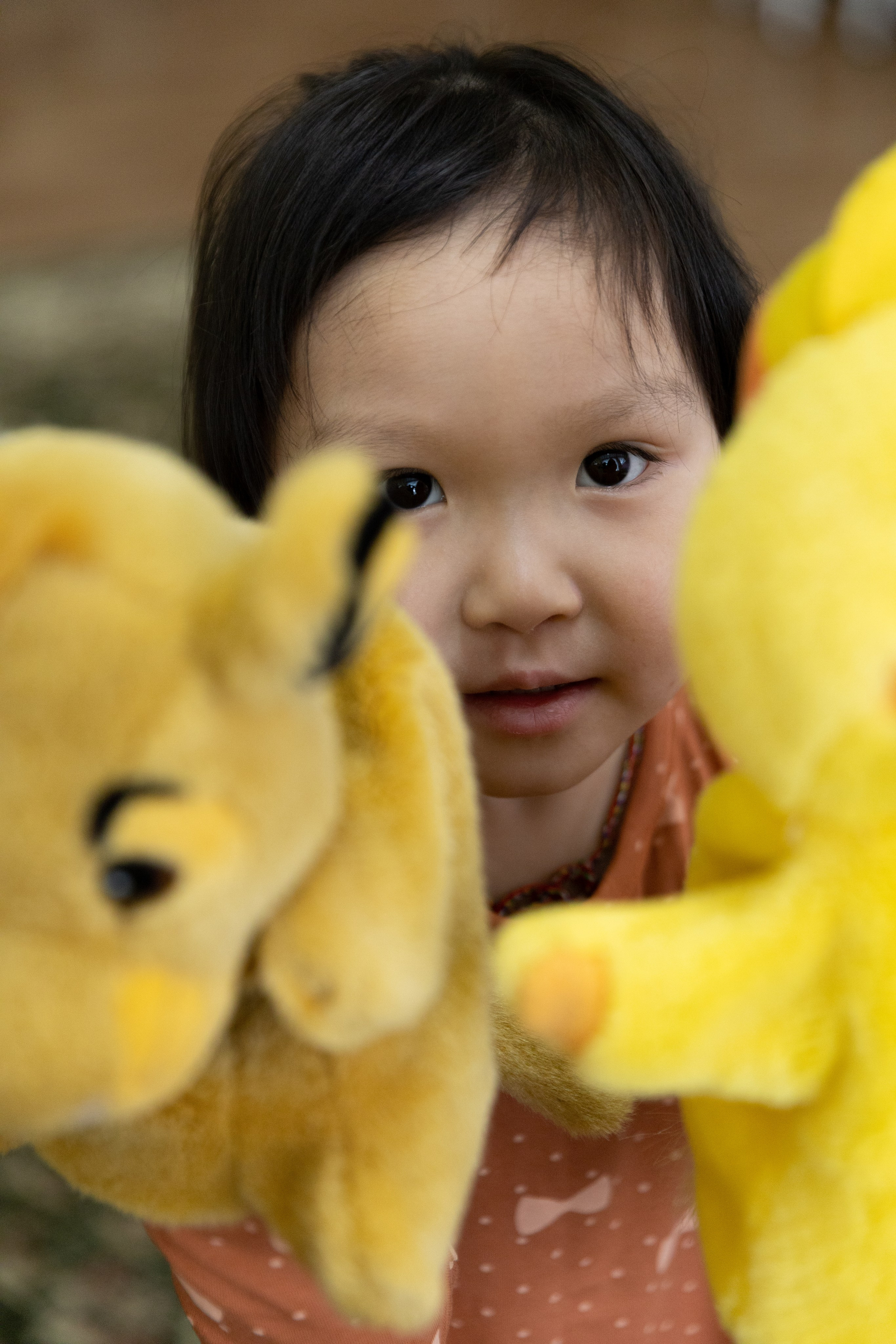 Младшие и средние группы. Литовкина Анастасия фотограф, выпускные альбомы г. Мирный