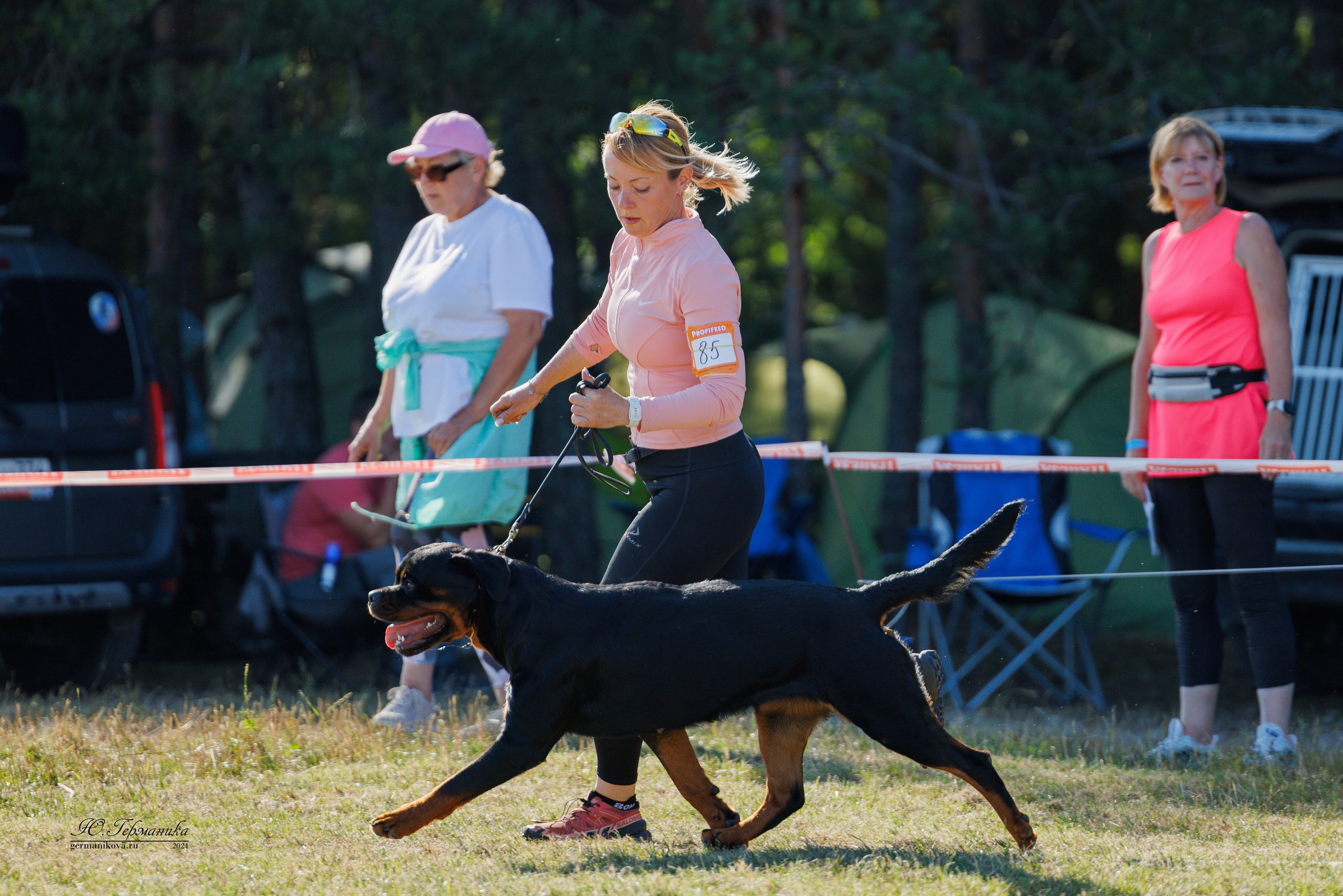 ПК и КЧК ротвейлеры Тверь 6-7.07.2024. Фотограф-анималист Юлия Германика