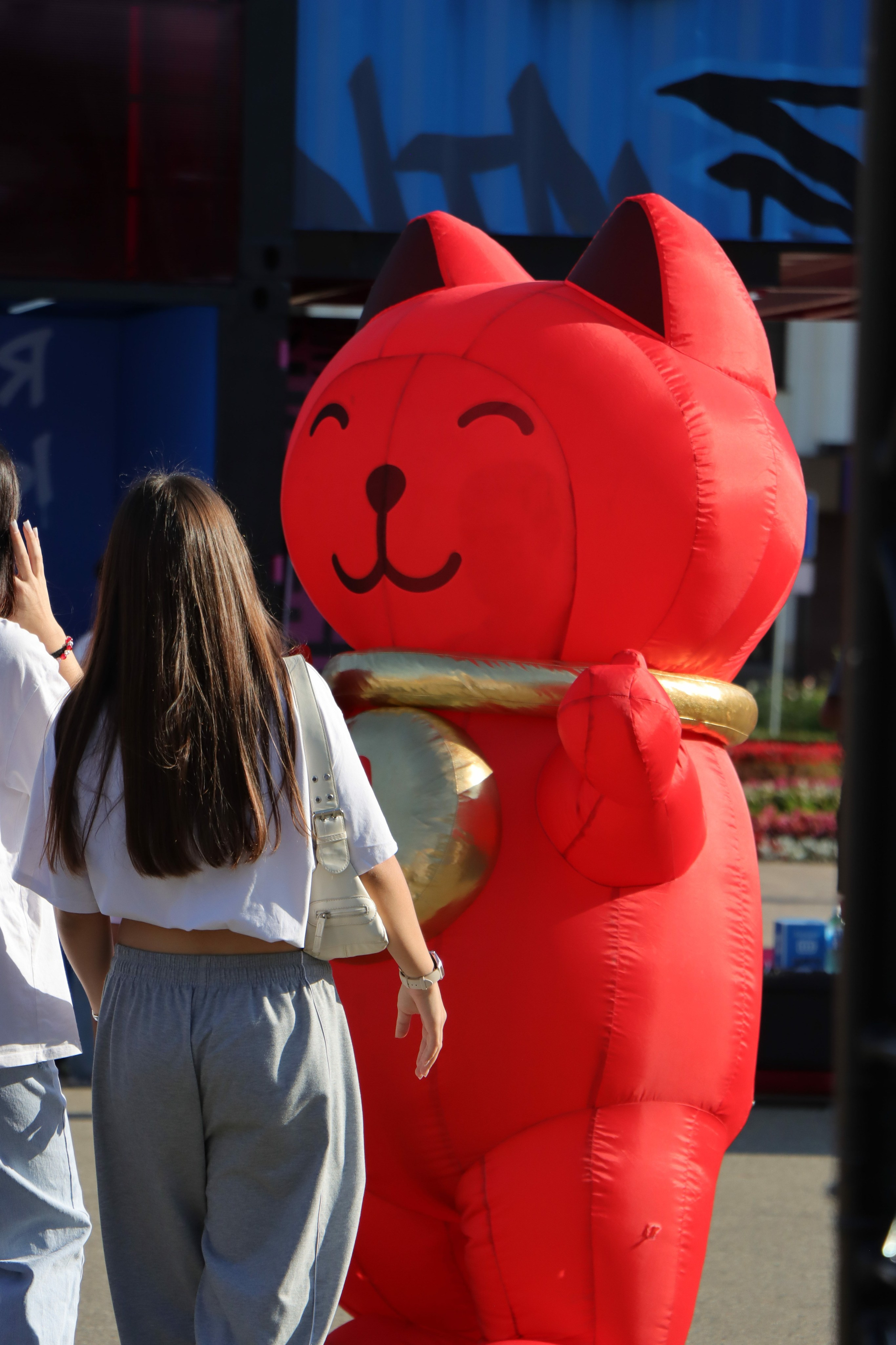 Фестиваль КАРДО