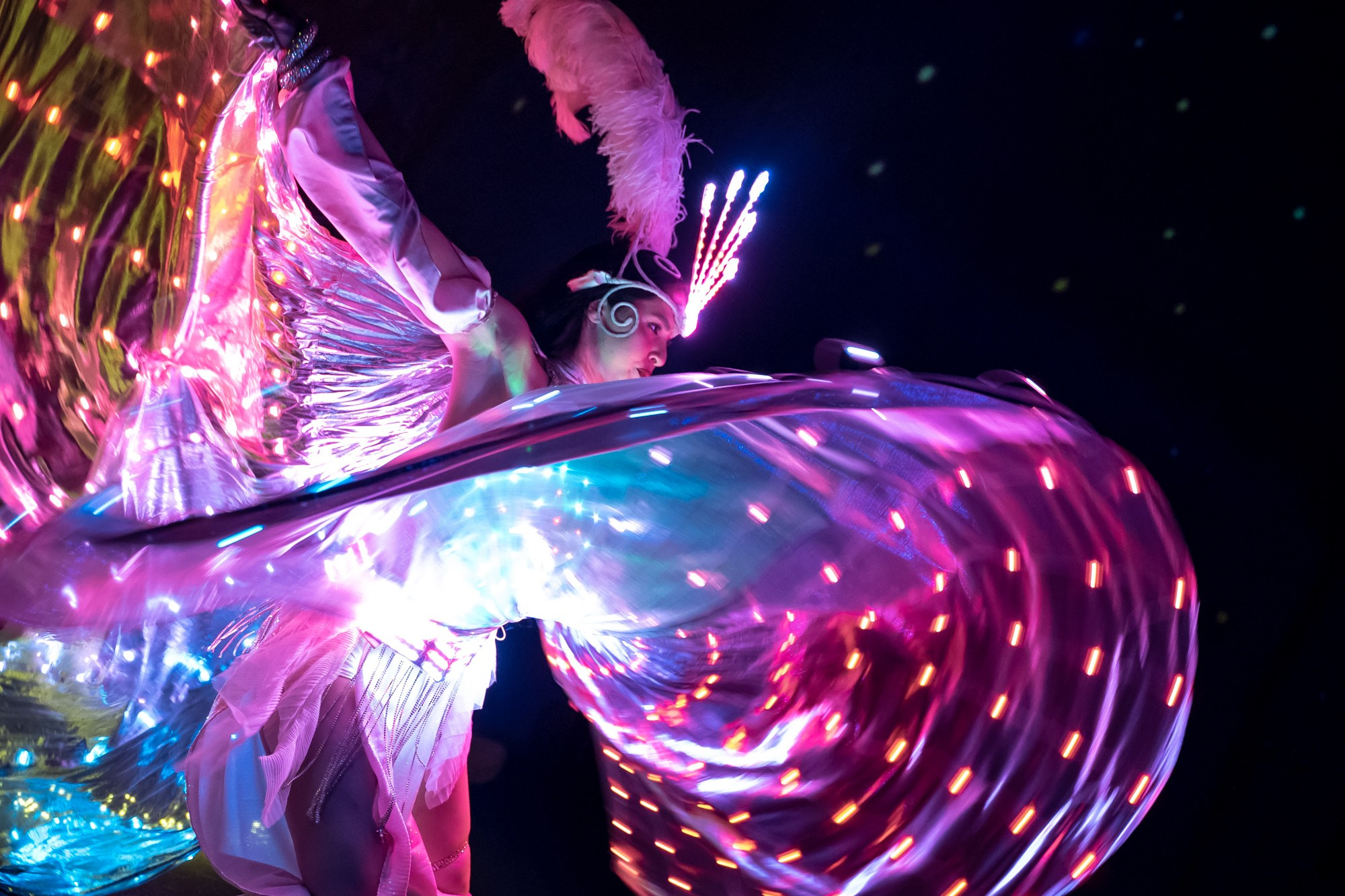 Концерты. Лилия Гоца. Гунфу Шаолинь. Арт-фотография. Ретриты