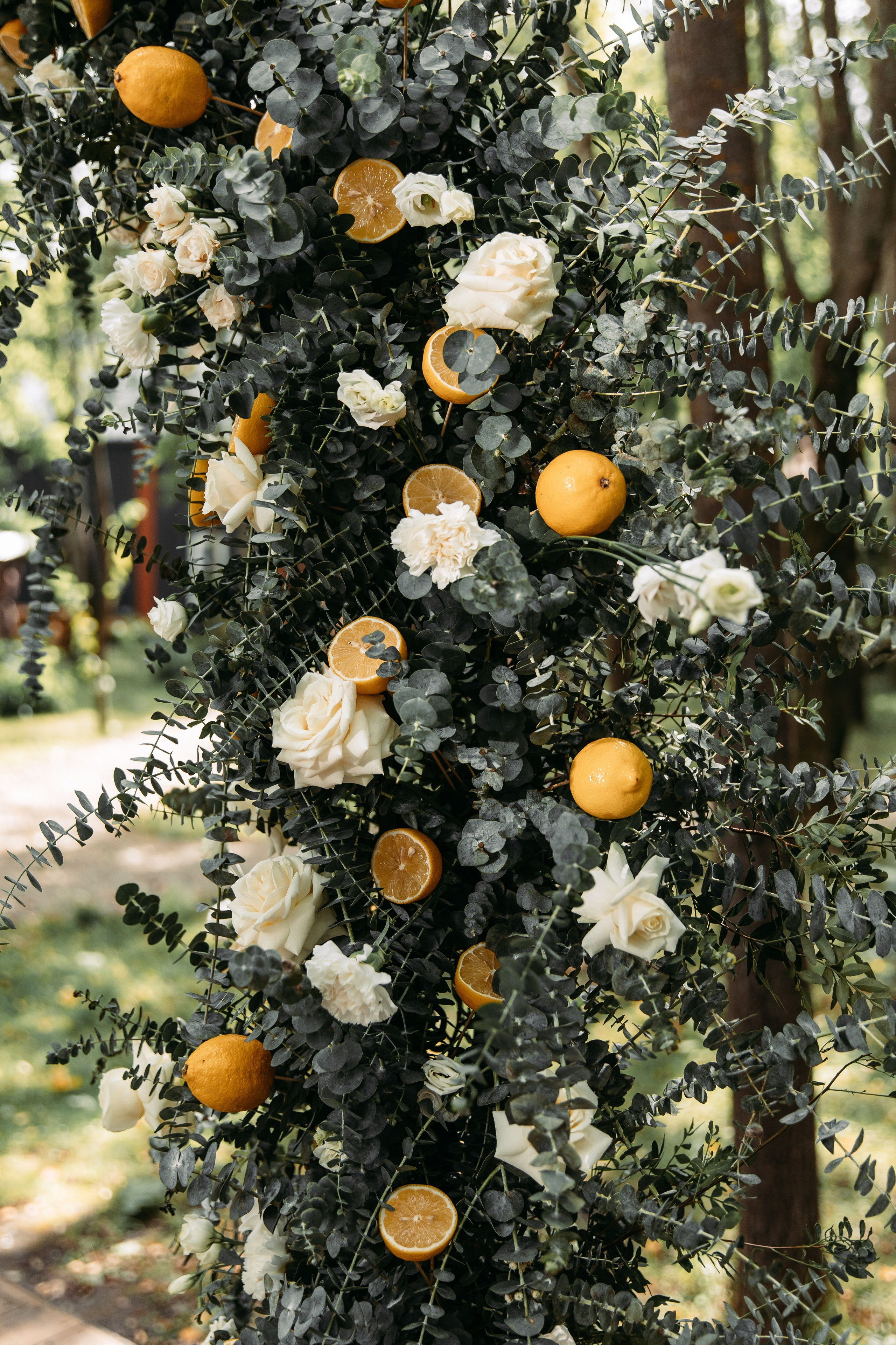 Александр & Александра. Свадебный ФОТОГРАФ и ВИДЕОГРАФ Ульяновск