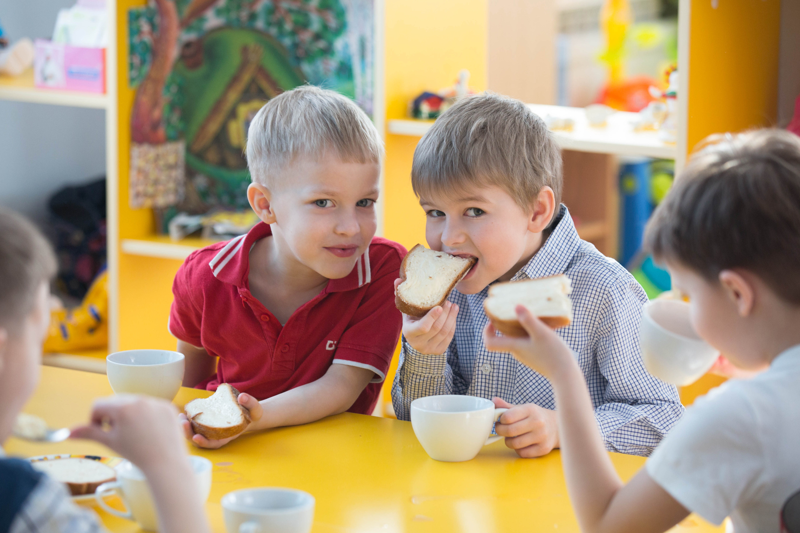 ДЕТСКИЙ САД. Ваш фотограф АННА ШЕВЧЕНКО