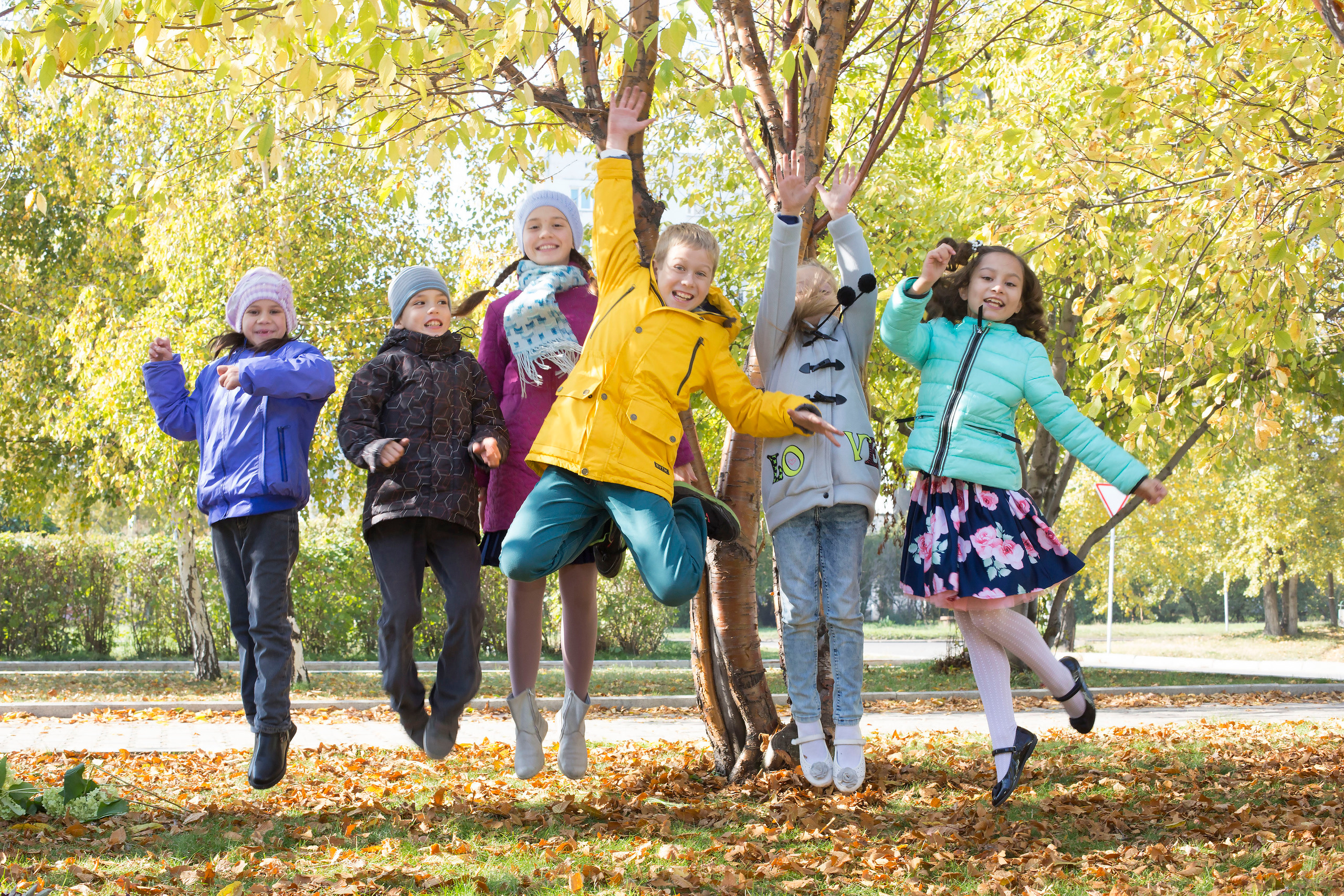 ШКОЛА. Ваш фотограф АННА ШЕВЧЕНКО