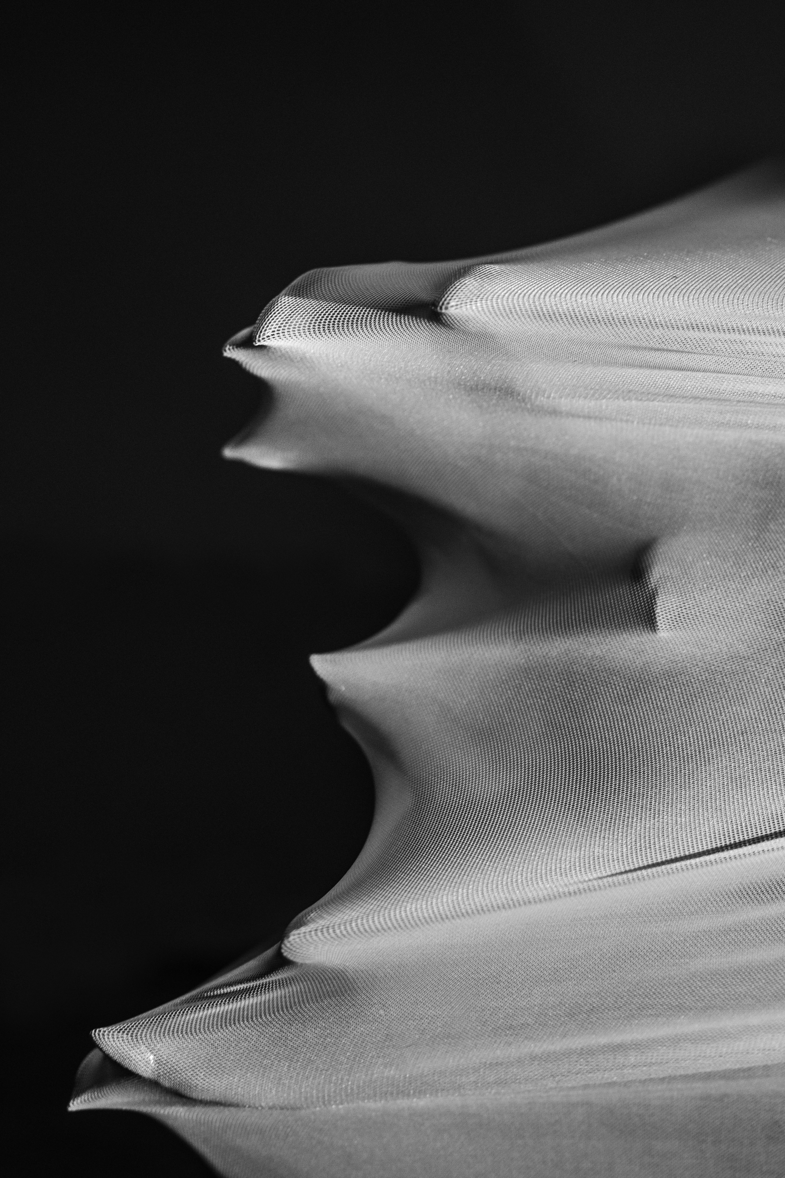 Взрослые. Ваш фотограф АННА ШЕВЧЕНКО