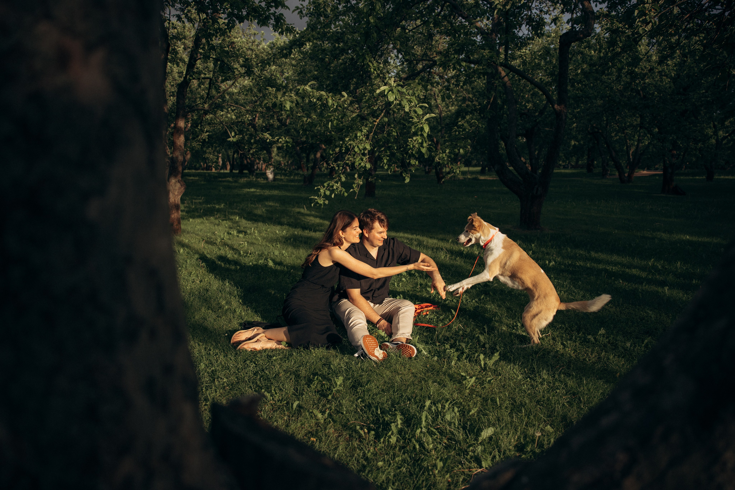 Парк Коломенское. Михаил, Анастасия и Ума. Фотограф анималист в Казани Алина Сулейманова. Фотограф животных