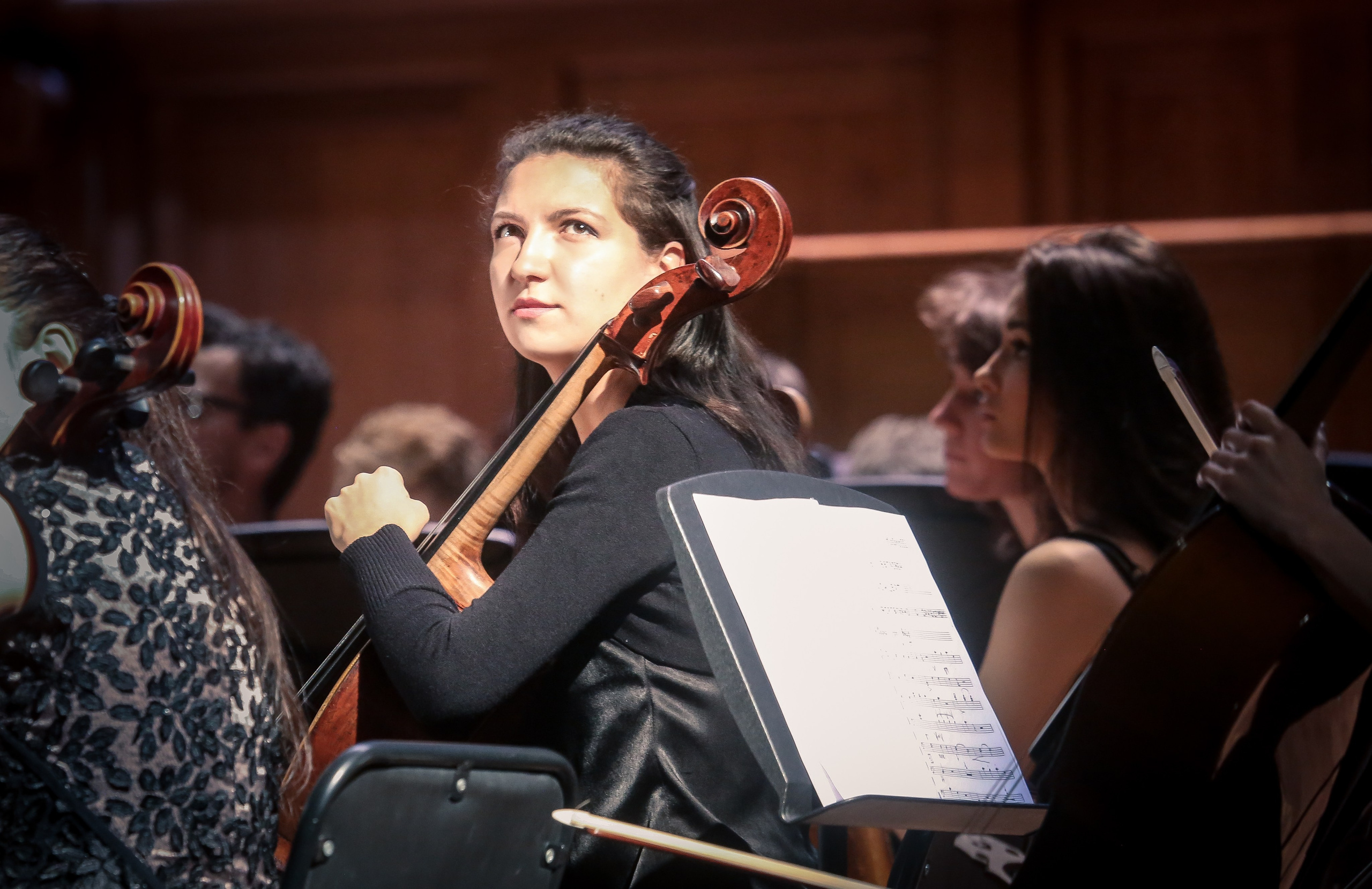 Путешествие из Вены в Москву — Музыкальная академия. Дарья Письменюк / Darya Leitstern — фотограф, музыкант, журналист, путешественник