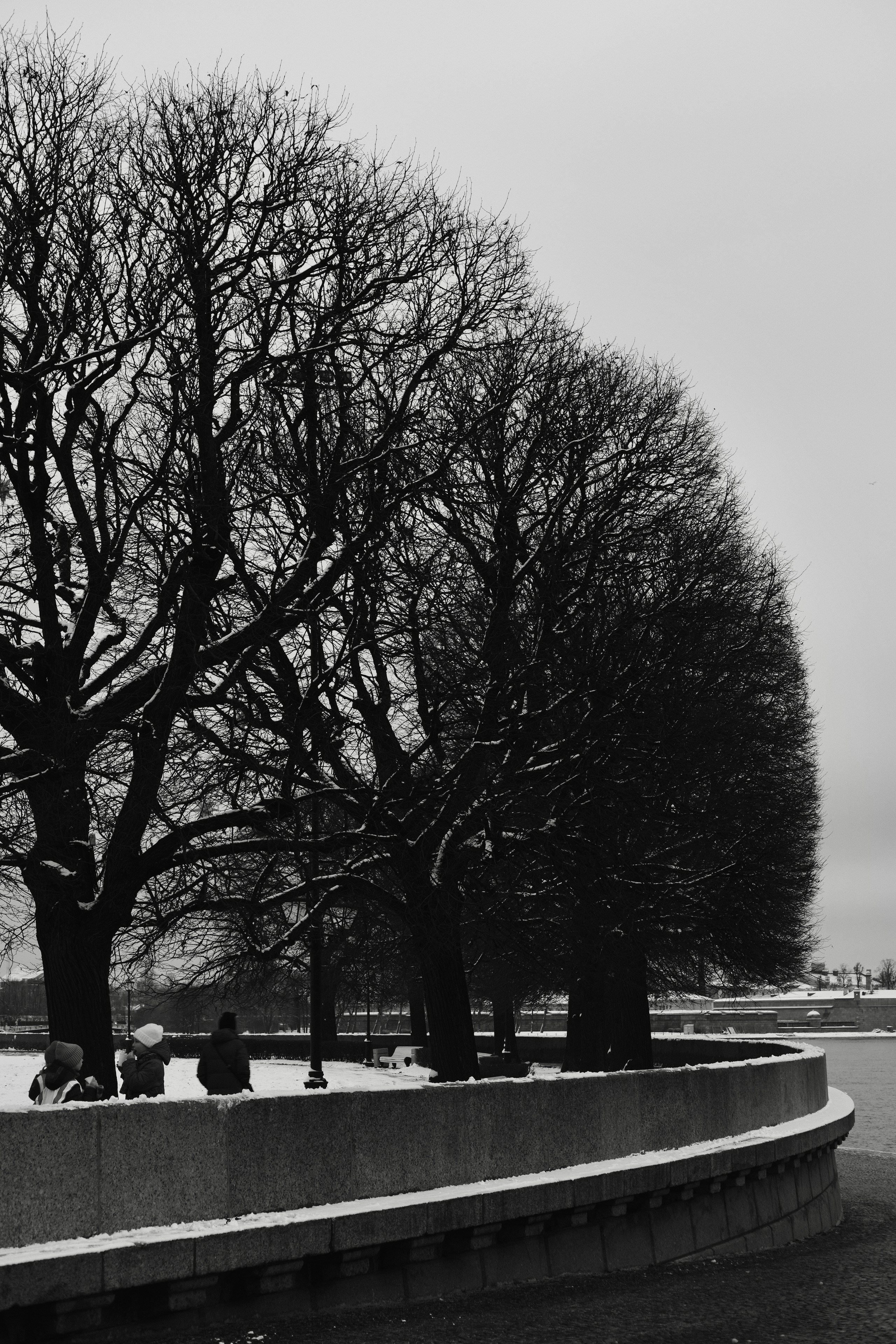 Санкт-Петербург. BELABONKA