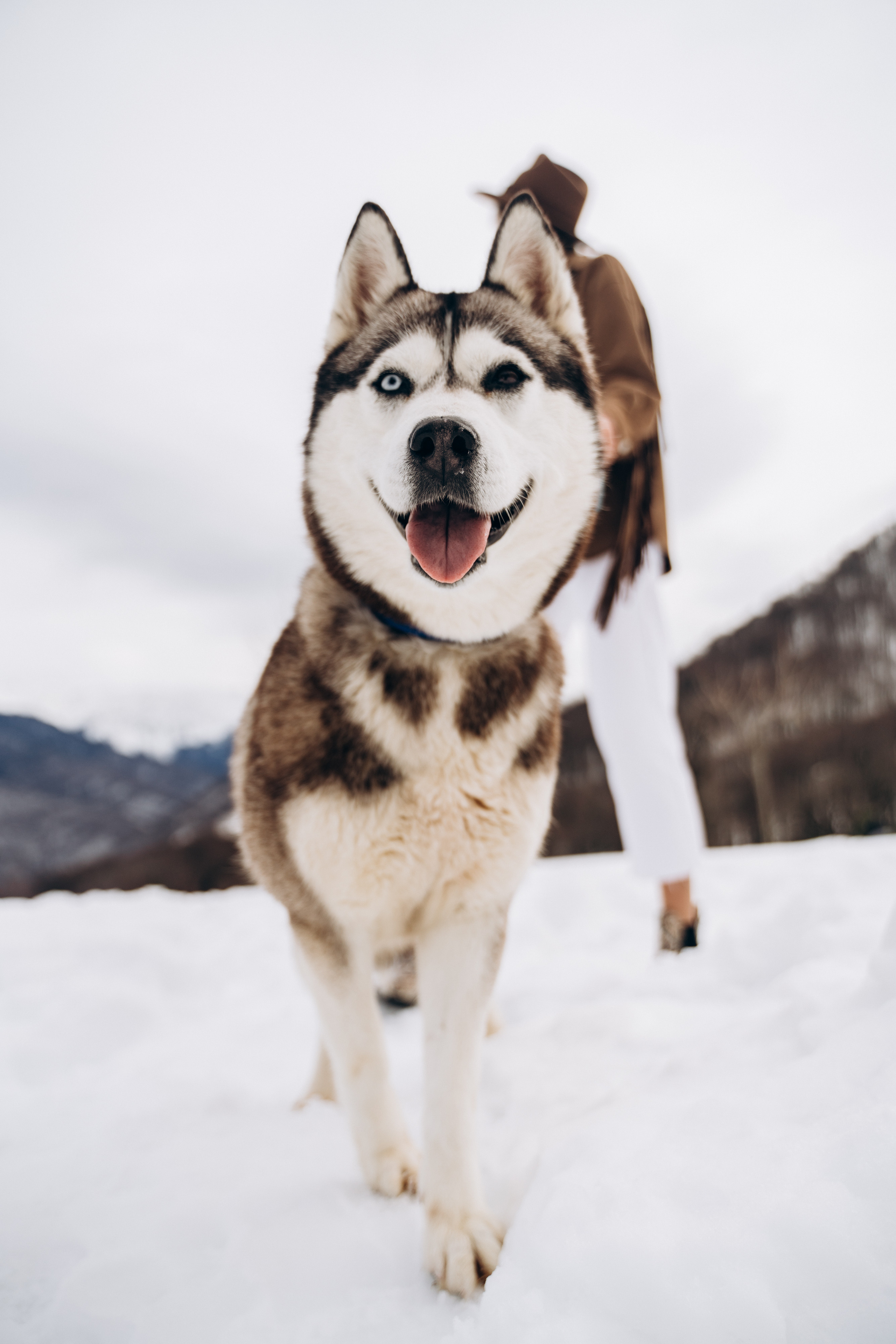 Lovestory Сочи. Создаю контент для бизнеса- Андрей Корниенко и упаковываю компании и экспертов в Краснодаре