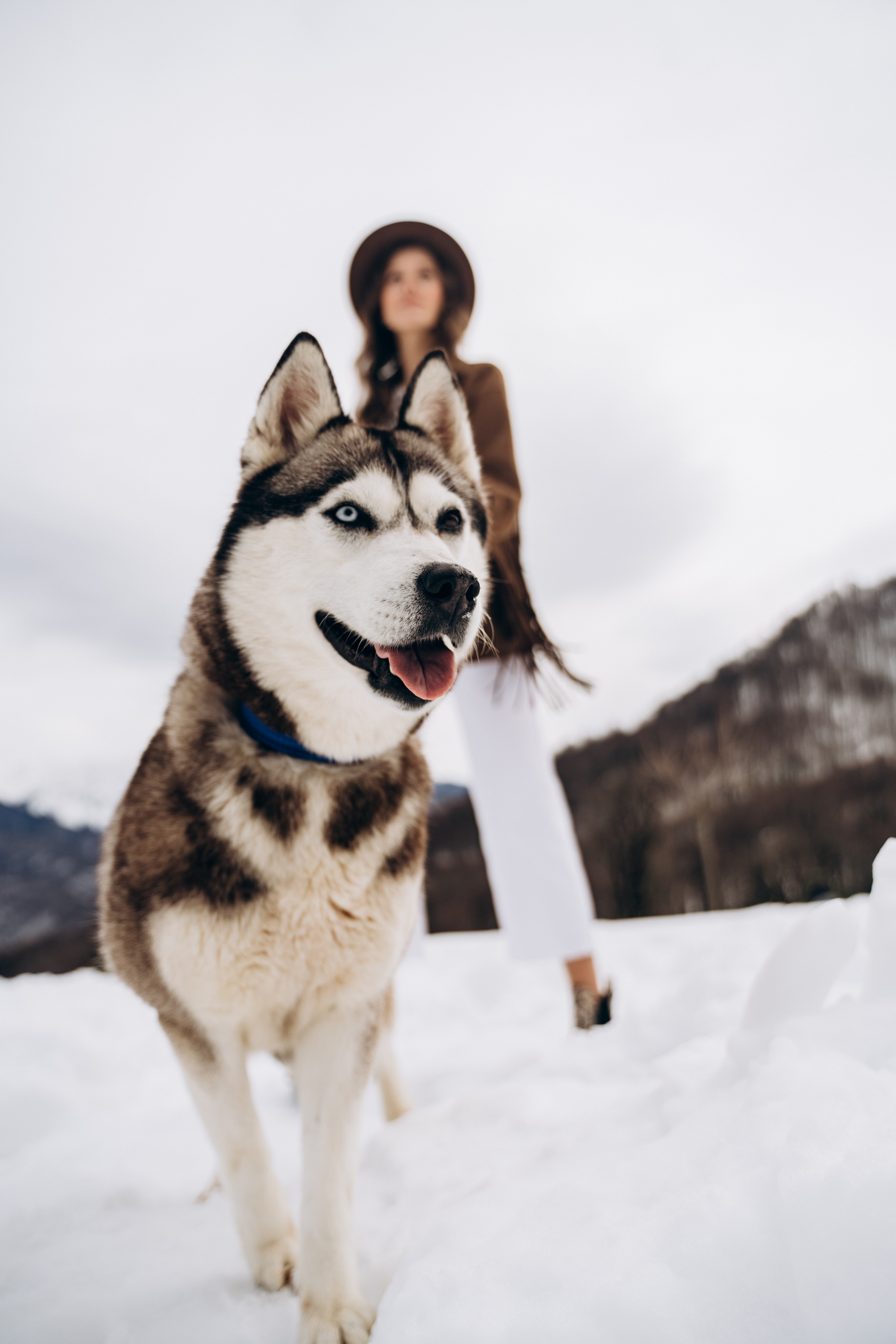 Lovestory Сочи. Создаю контент для бизнеса- Андрей Корниенко и упаковываю компании и экспертов в Краснодаре