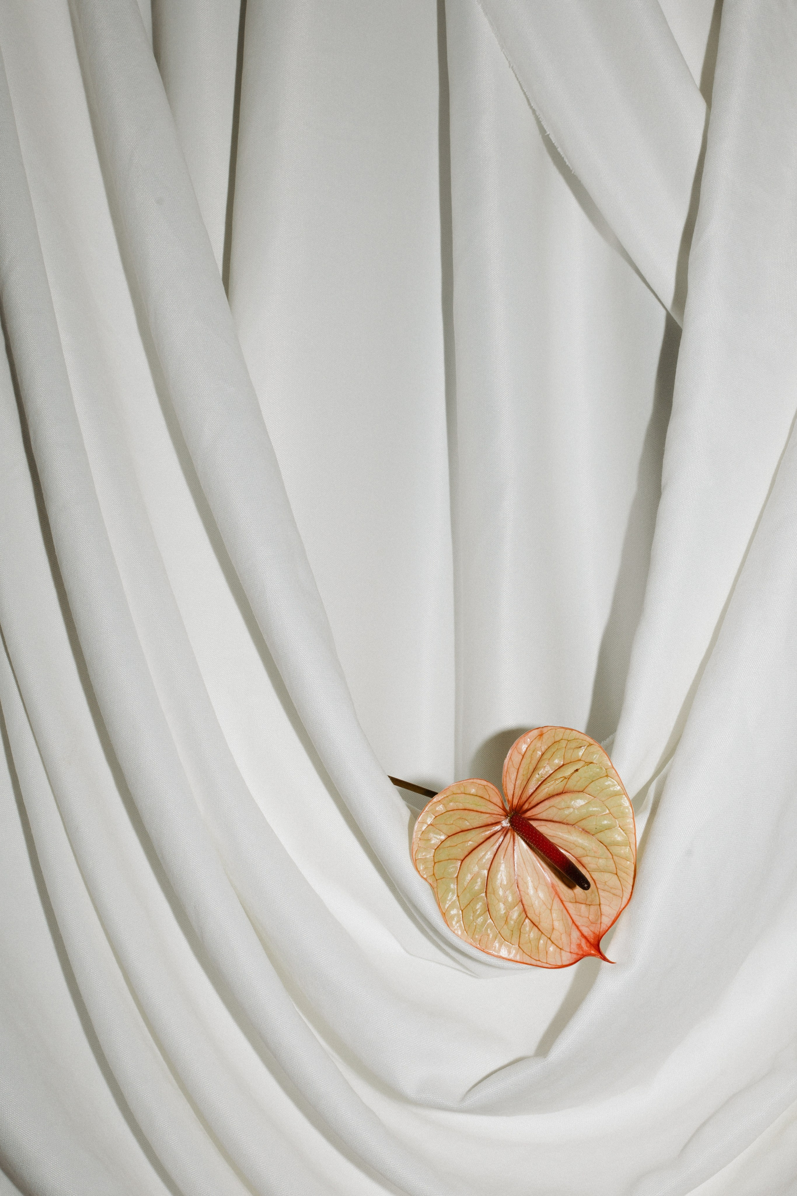 Макс и Настя. Ланемец Юлия — фотограф Волгоград/Волжский