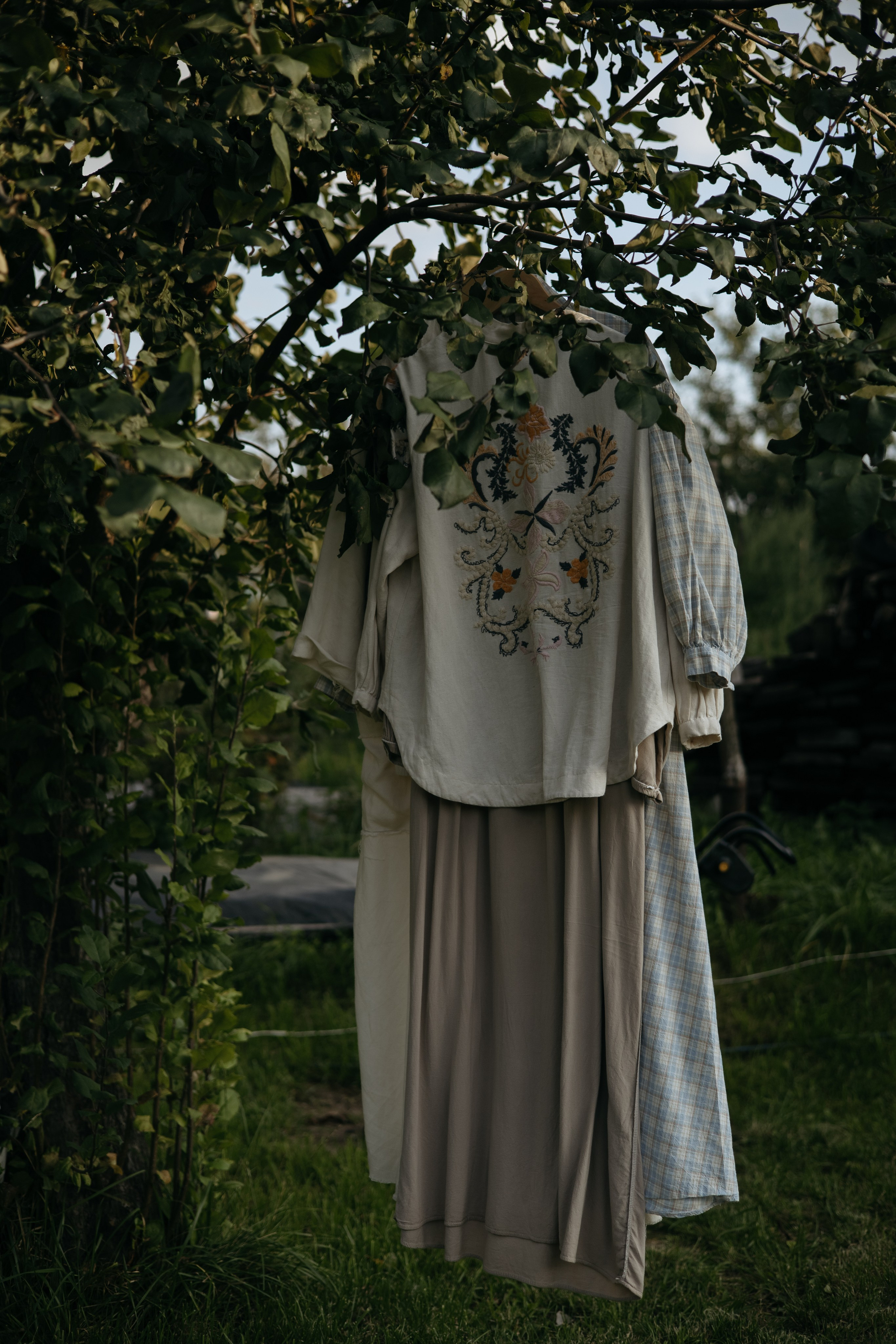 ДИНИЯ. Фотограф Элла Ефимова