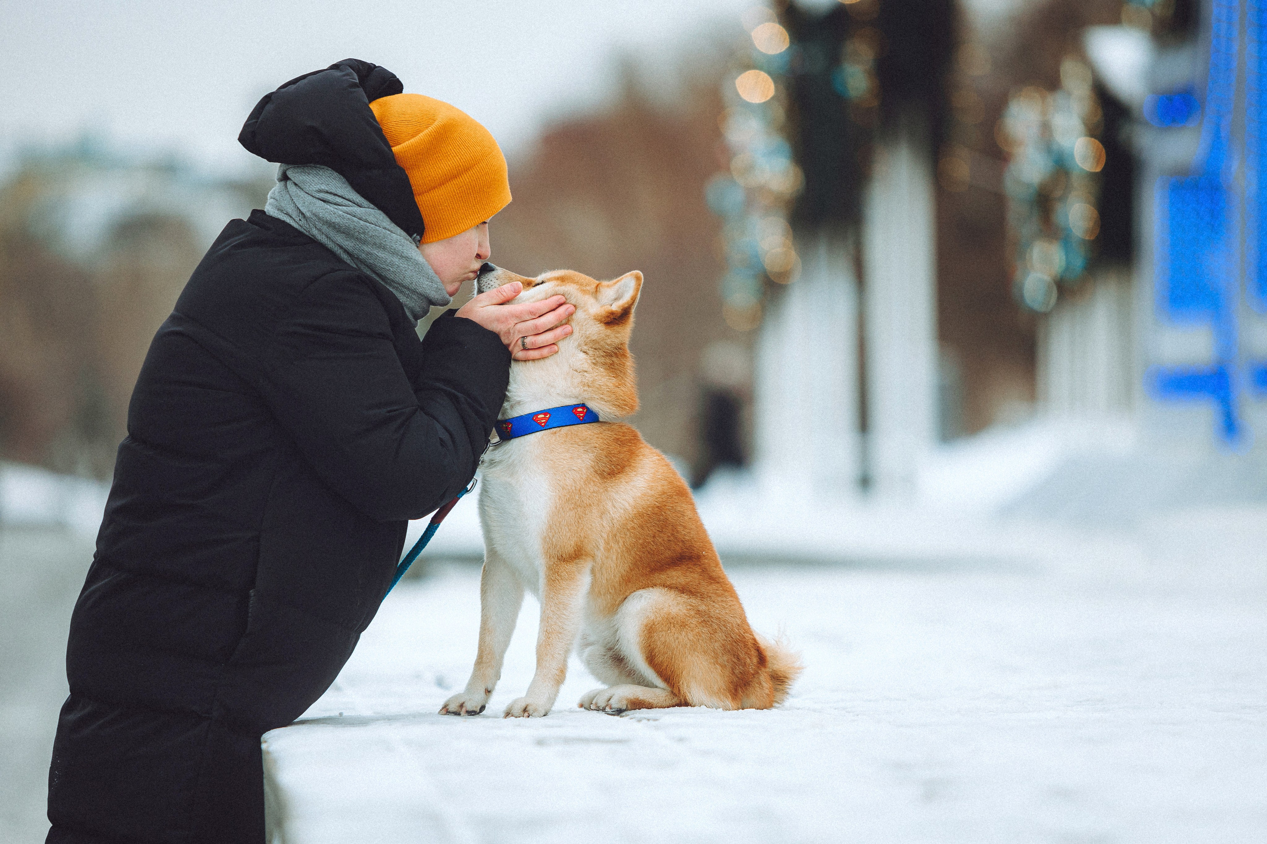 Настя и Ронин
