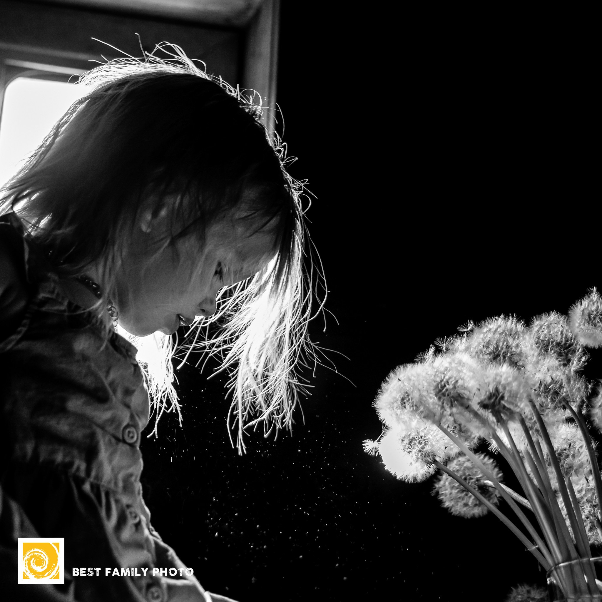 Александр Шилов