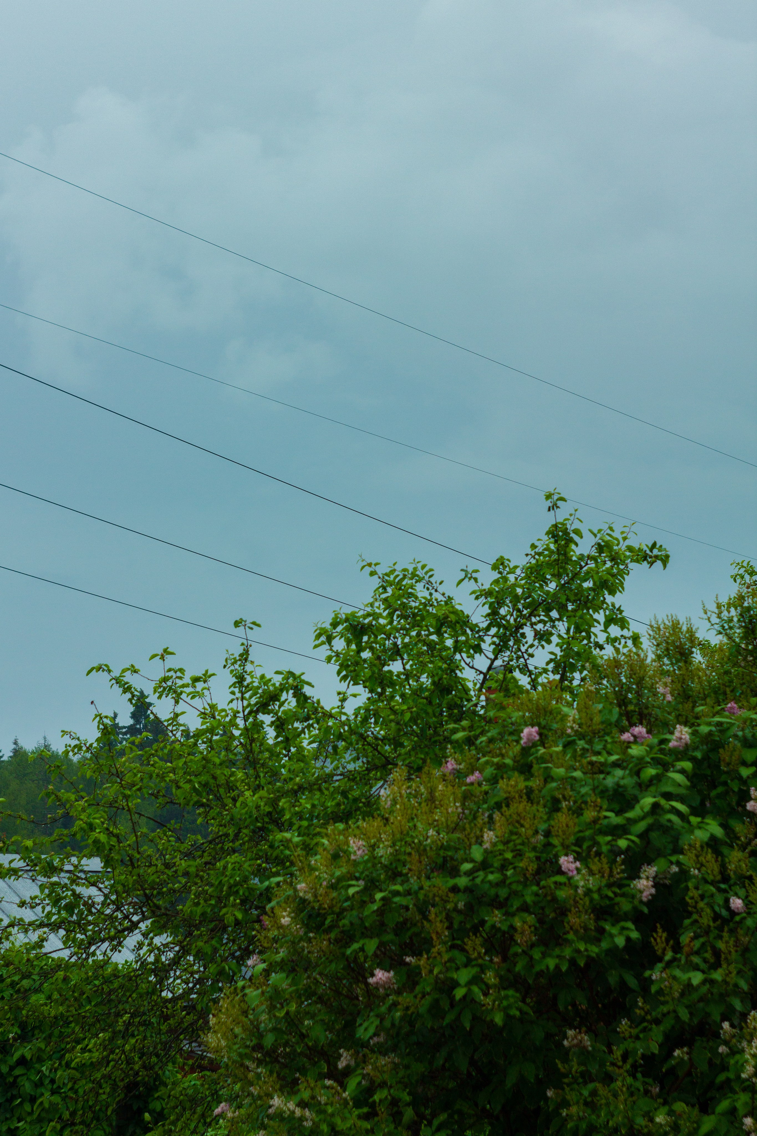 Dacha vibes. Папка кадров 📁