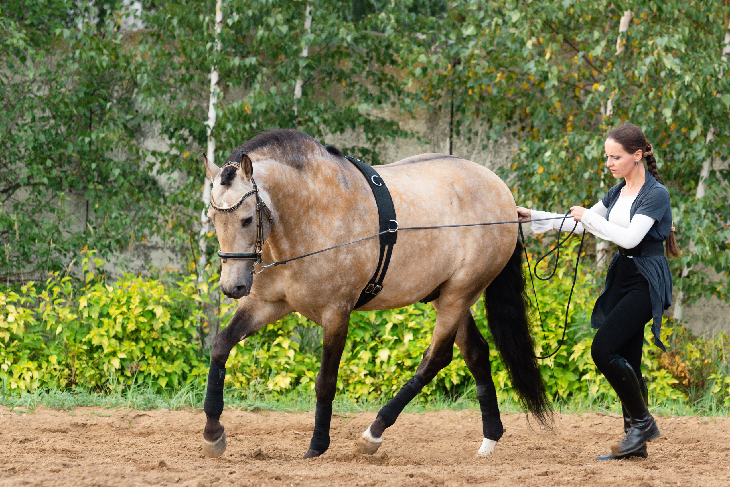 Рабочий процесс. KatymartArt — Equine photography