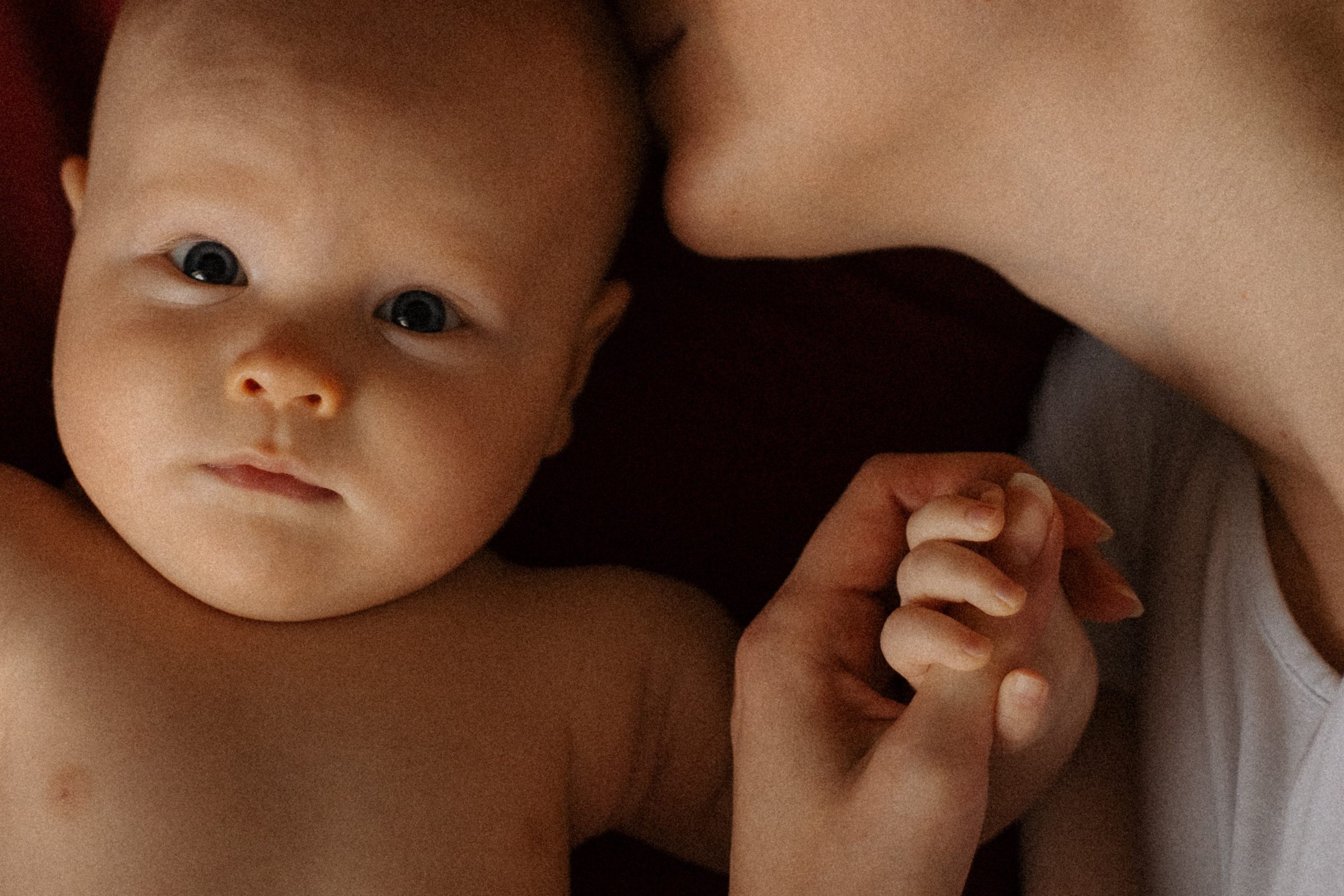 Алиса. Семейный фотограф Виктория Потехина Москва