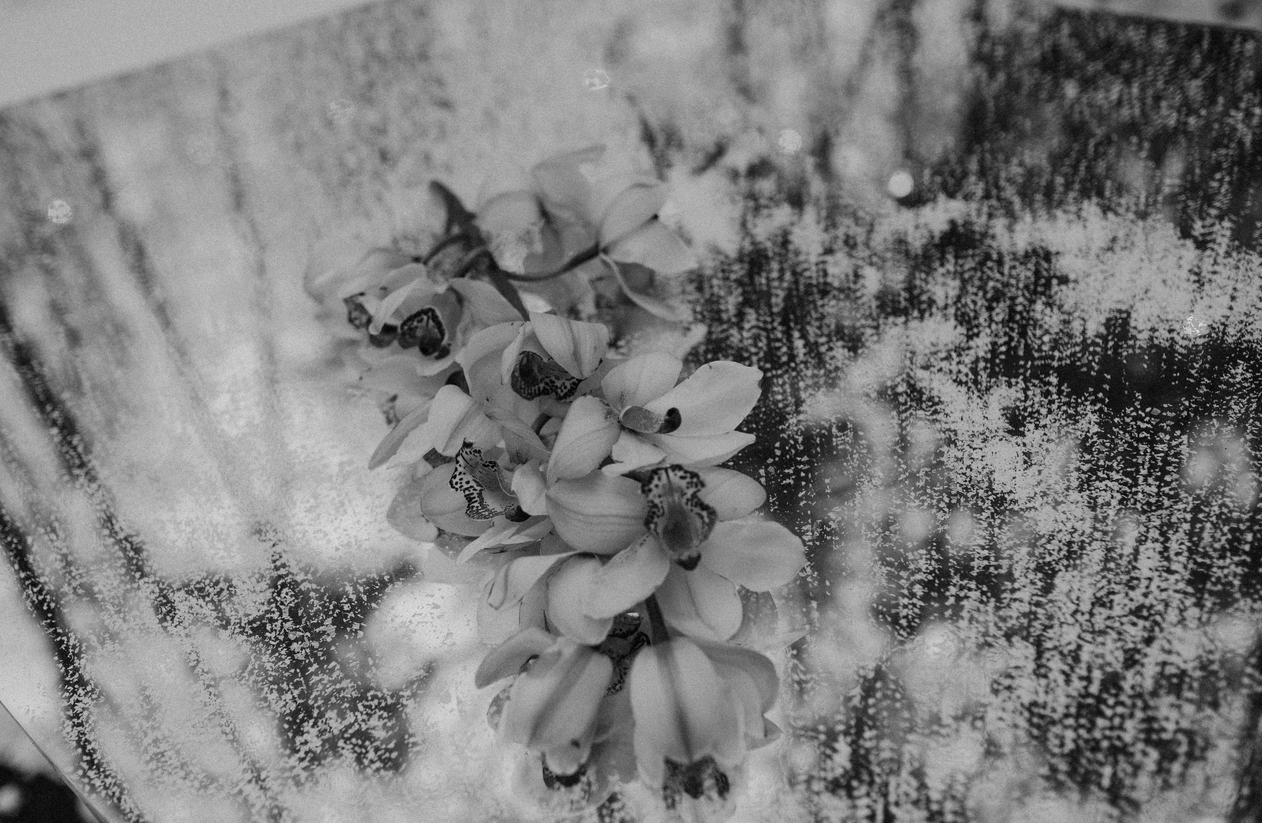 Яна и Алексей. Фотограф Анна Абрикосова