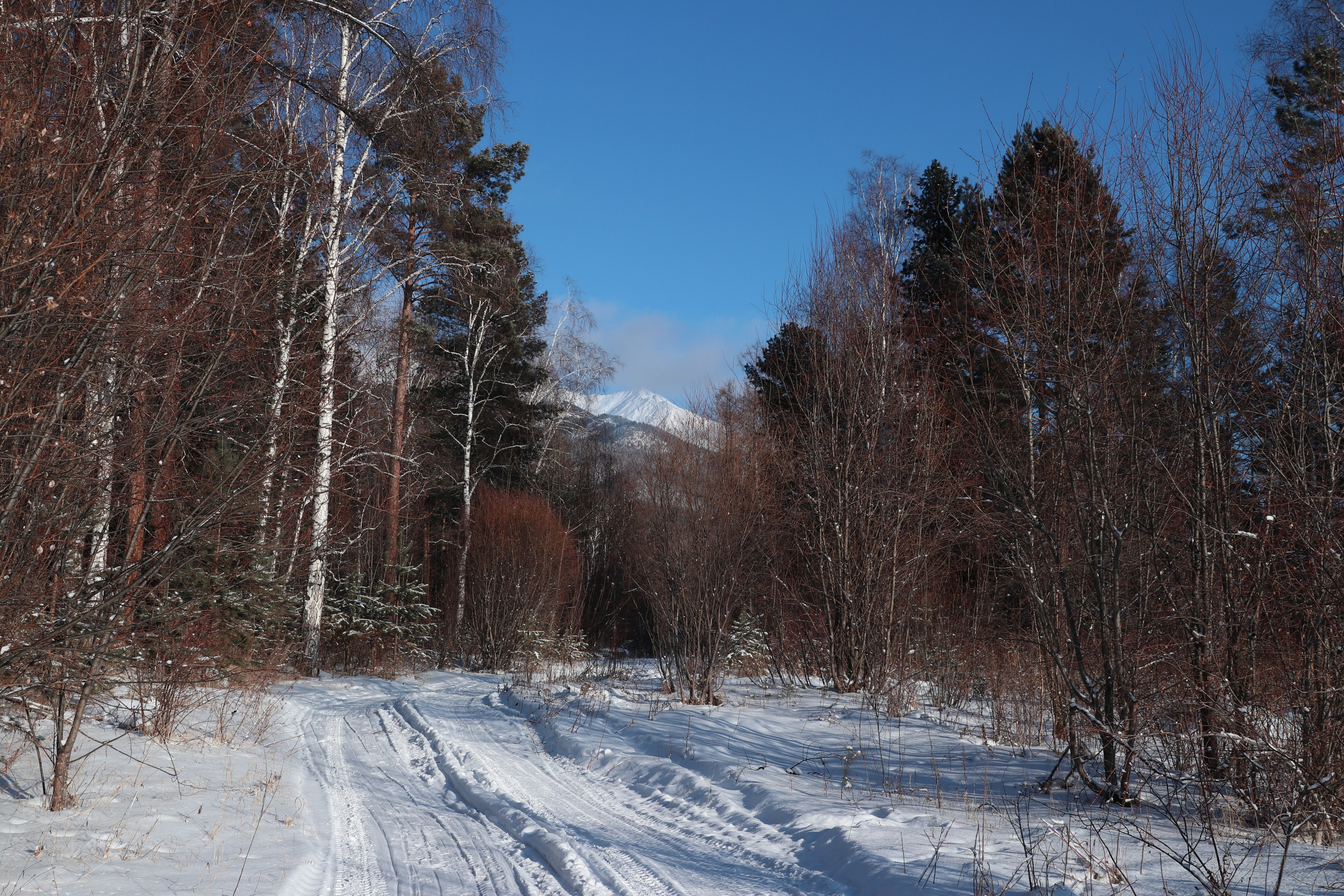 Аршан. Январь 2024. Путешественник-фотограф из Санкт-Петербурга Татьяна Свистулина