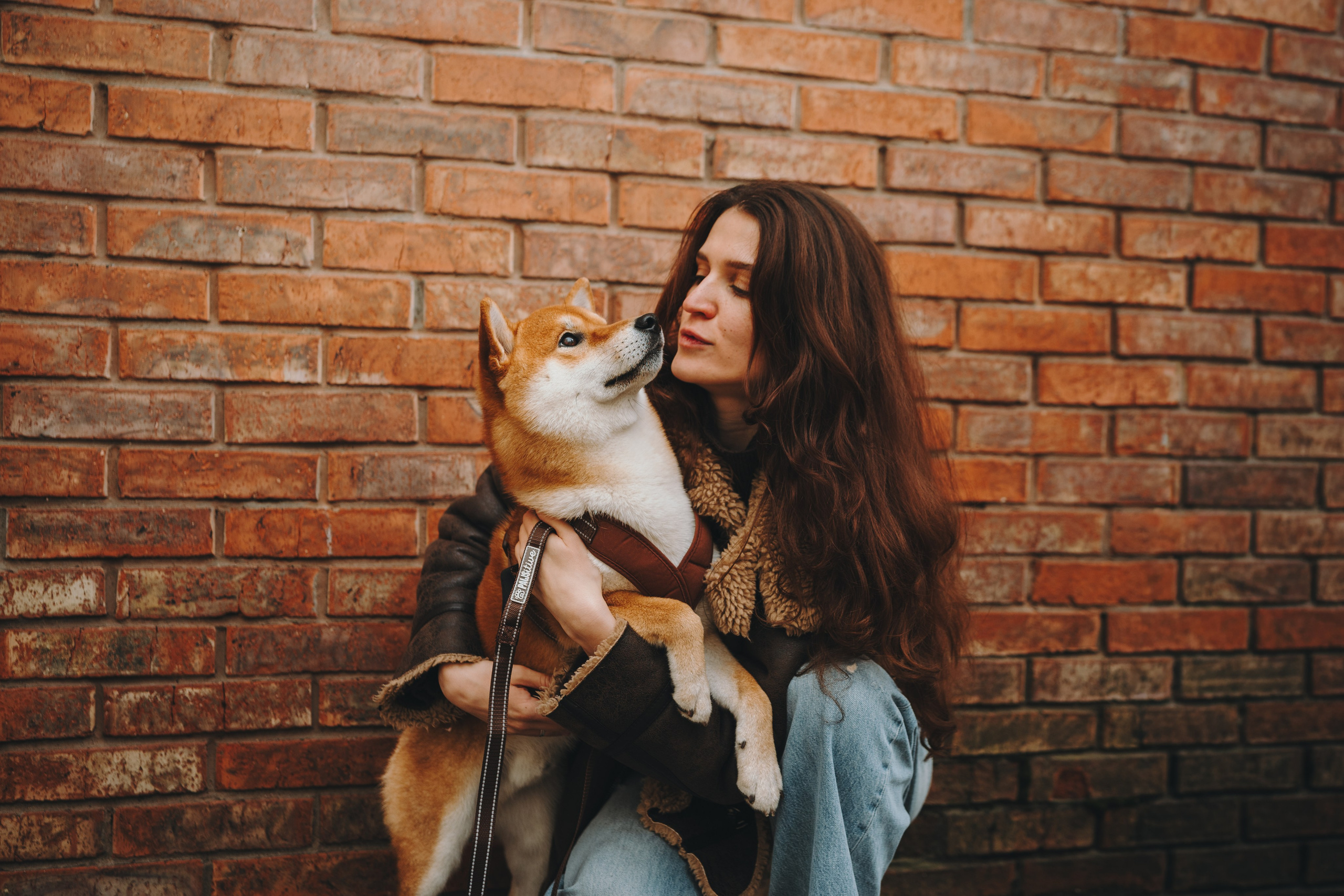 Pawsitive. Семейный фотограф анималист Ананьева Мария — Москва