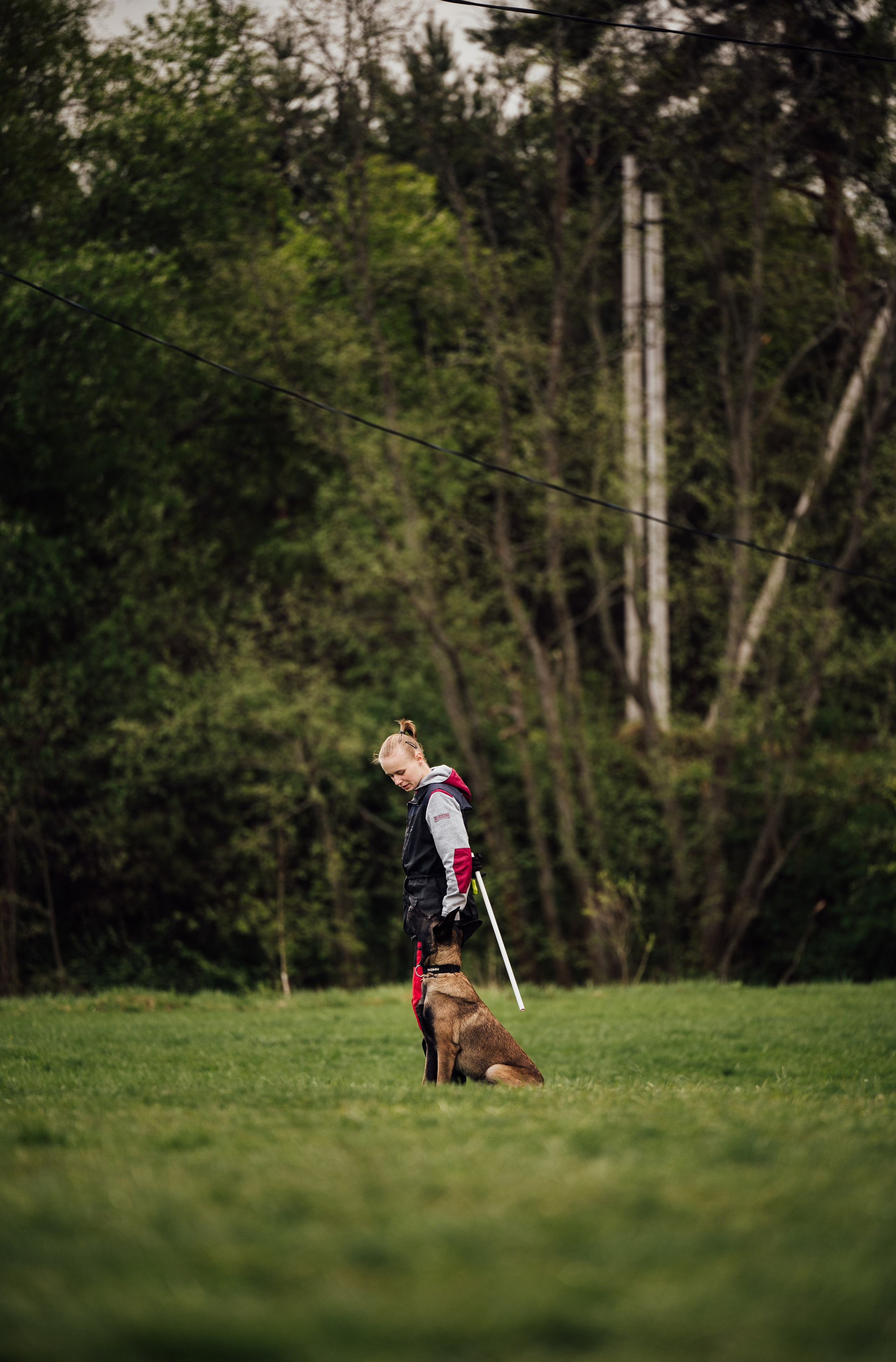 Обидиенс. Семейный фотограф анималист Ананьева Мария — Москва