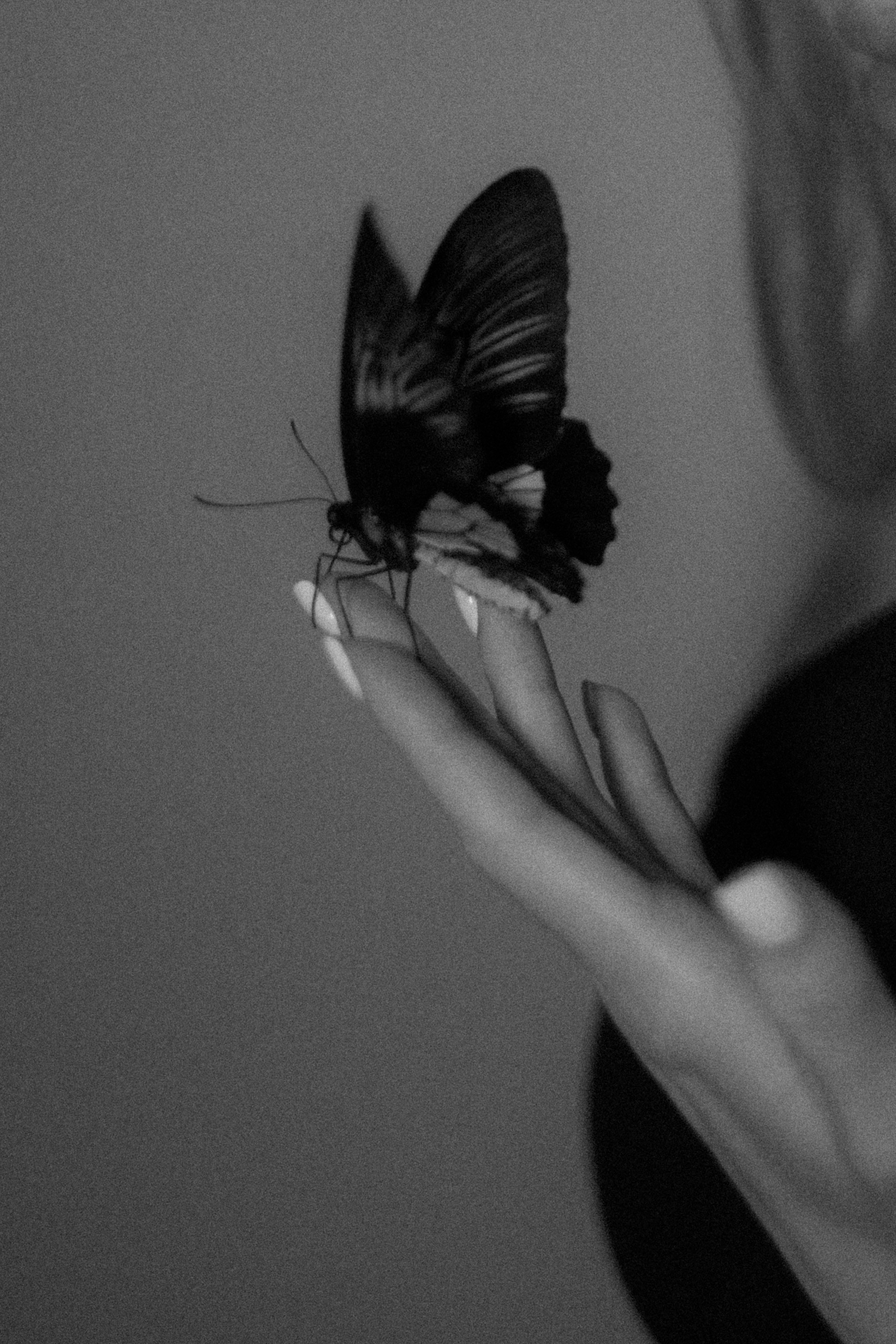 Девушки. Фотограф Оксана Пономарева