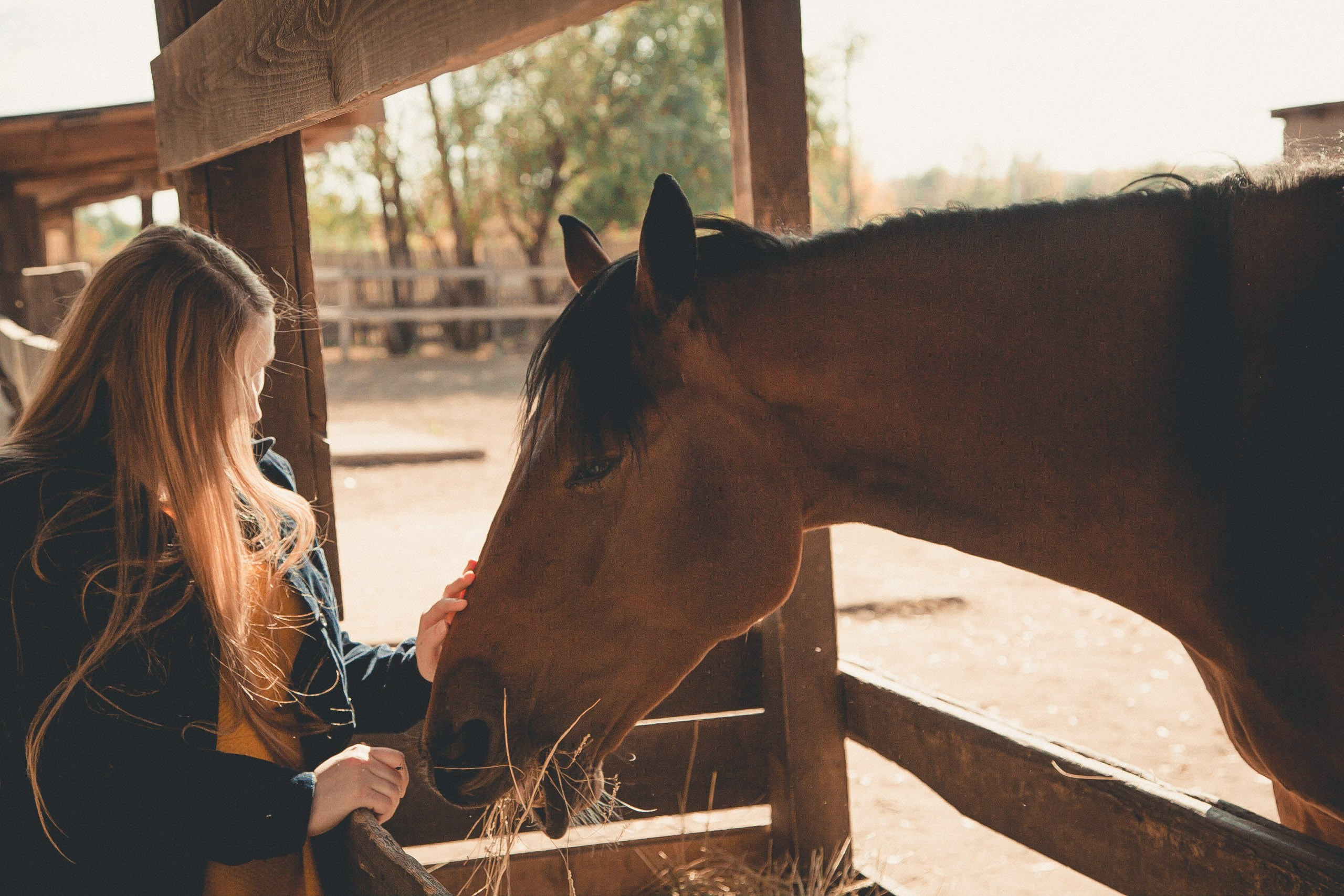 Альбом «Октябрь». Ваш фотограф в Оренбурге Рощупкина Екатерина