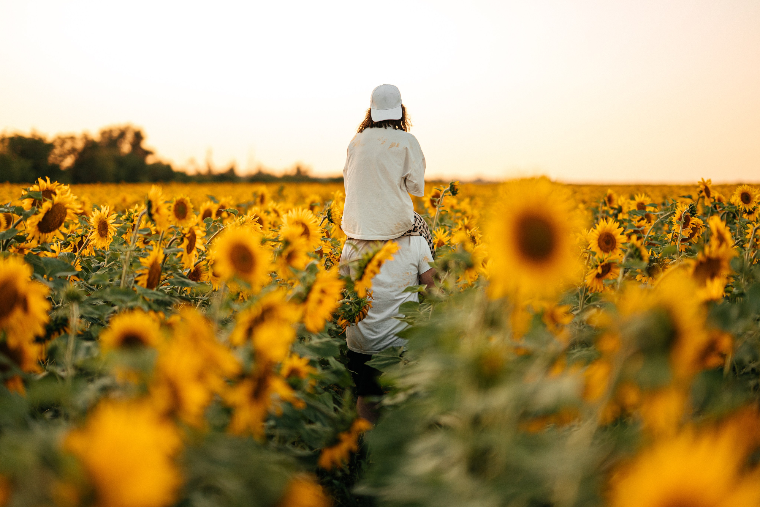 Анатолий и Мария Хорошевы. Свадебный фотограф в Оренбурге