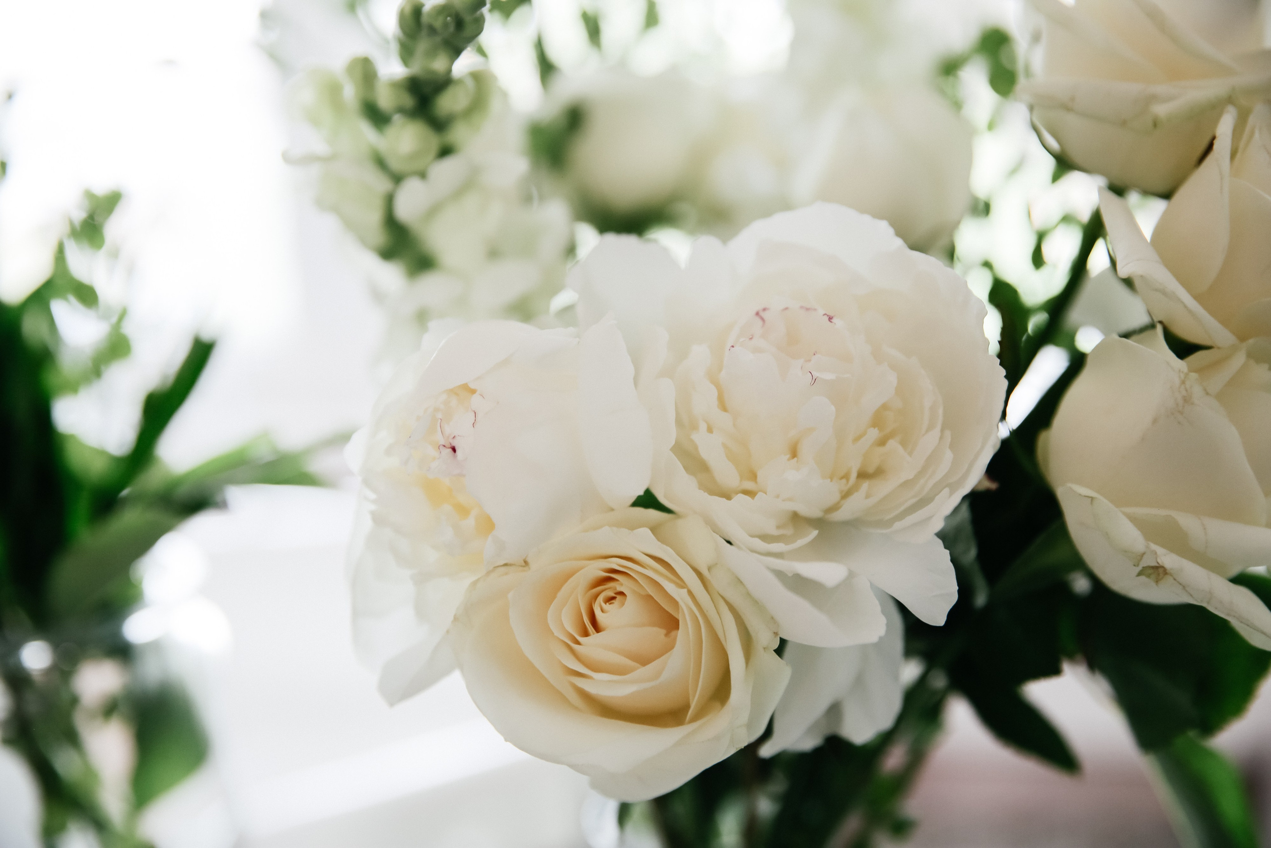 А&А 25.05.2023. Свадебный и семейный фотограф в Новопавловске и КМВ Баканова Юлия