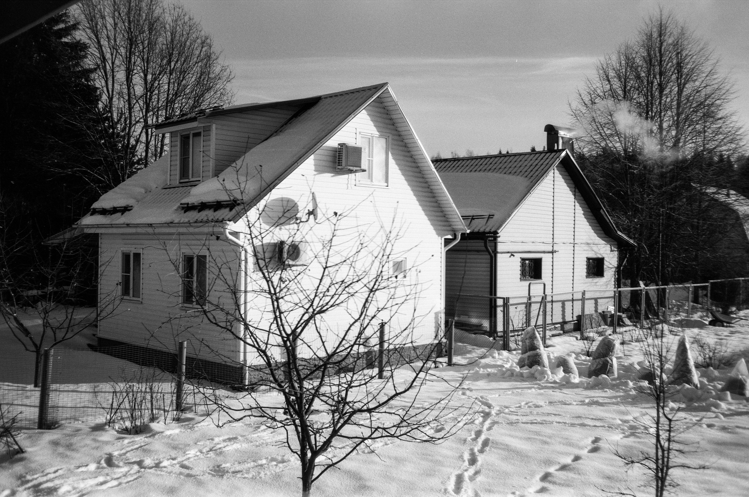 Minox 35GT / Тасма Т-25 ISO 100 / Давыдовское, Лукино