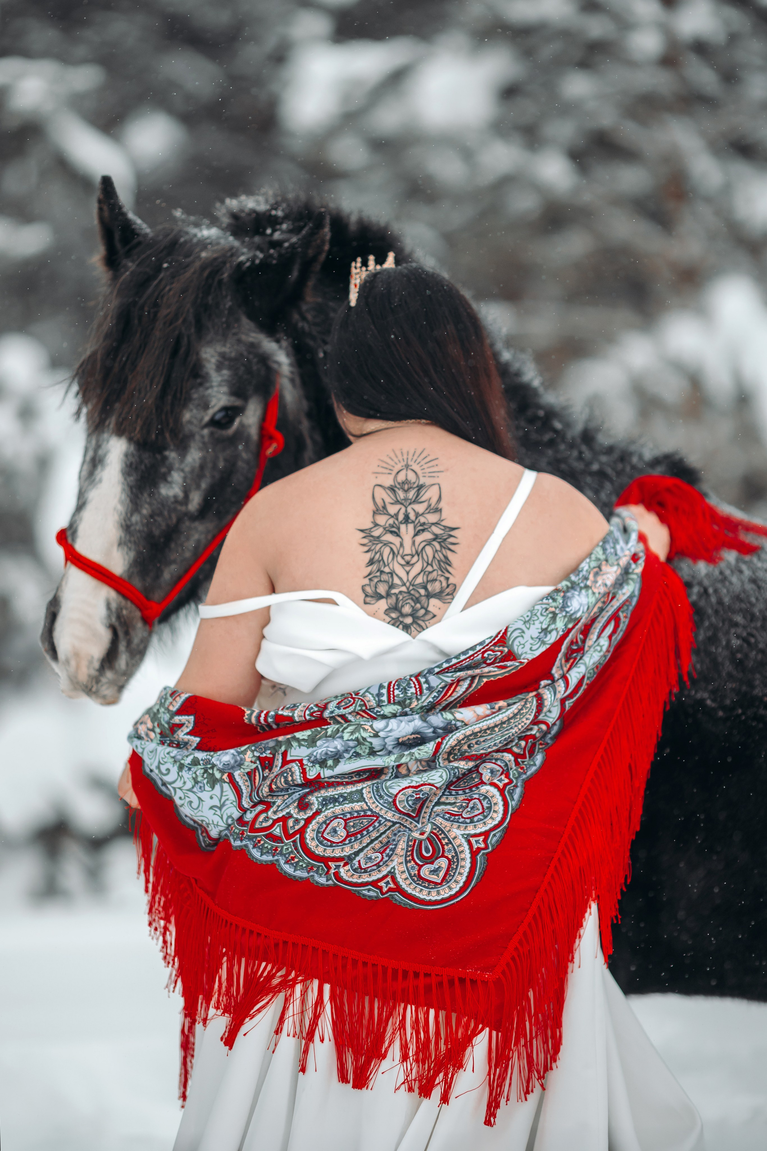 Яблоки на снегу. Анна Молчанова конный фотограф в Тюмени | фотосессии с лошадьми Тюмень