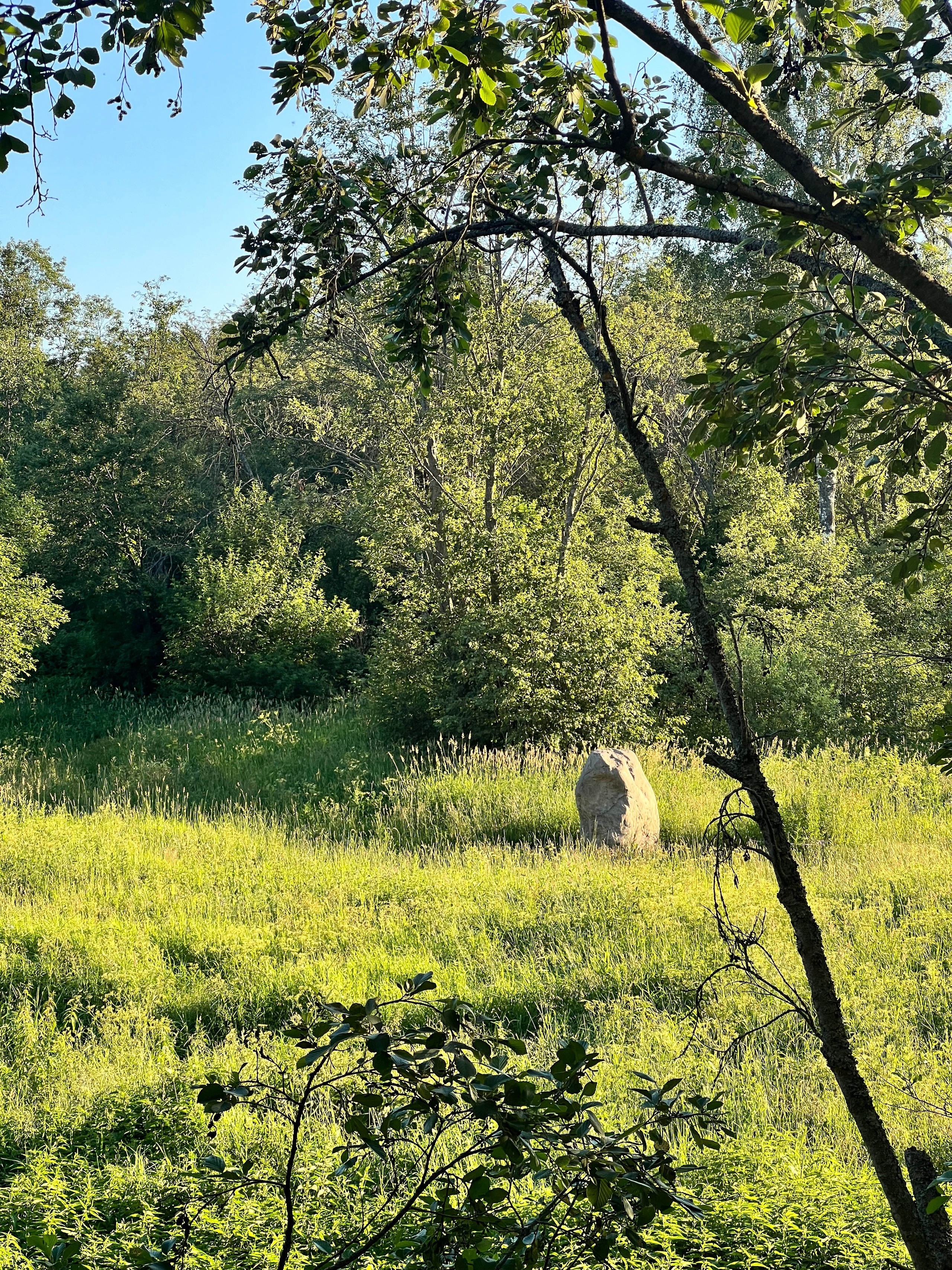 Радонежье. Путешествия со смыслом