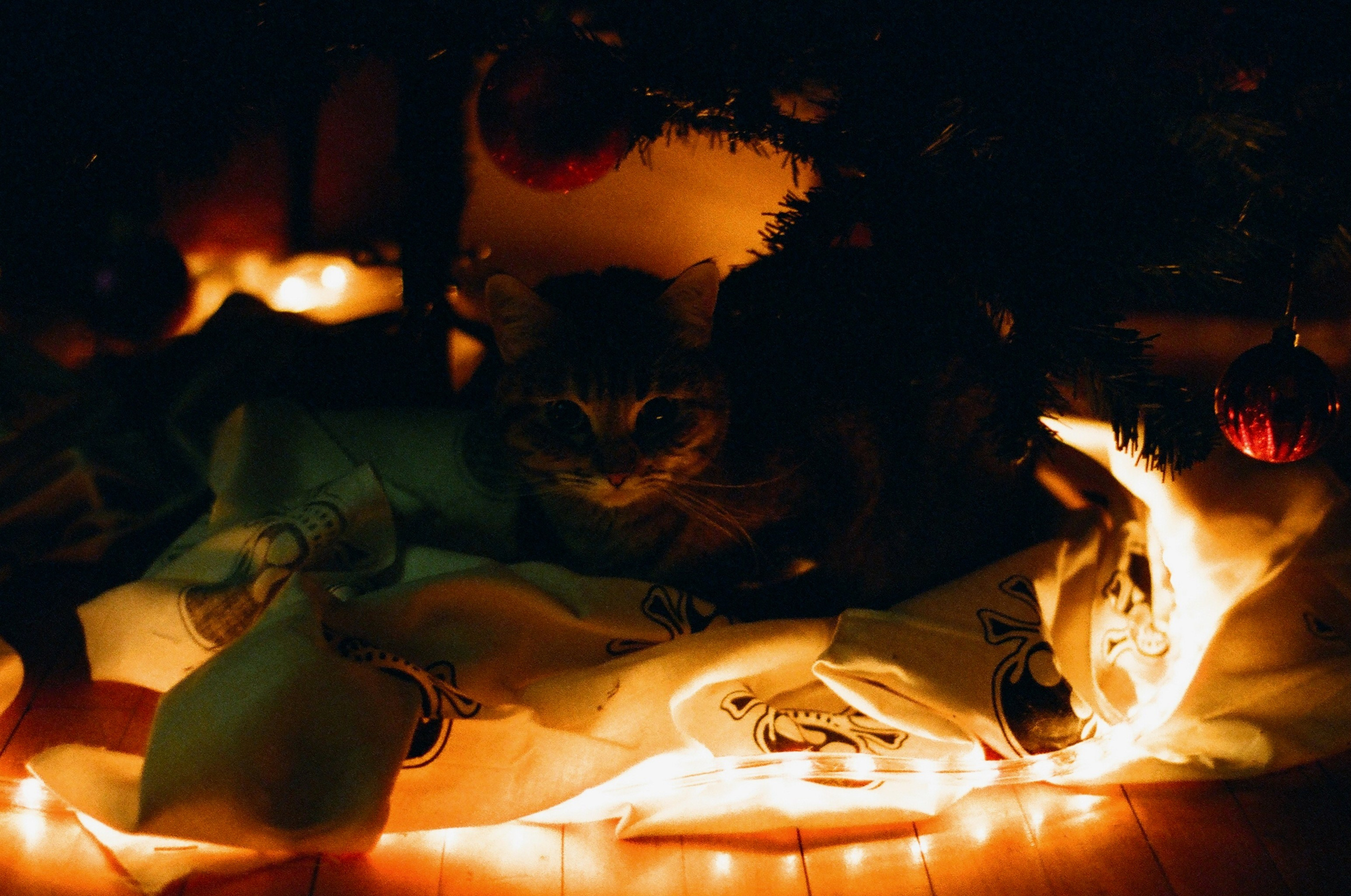 Film. Ruslan UI Dev Page