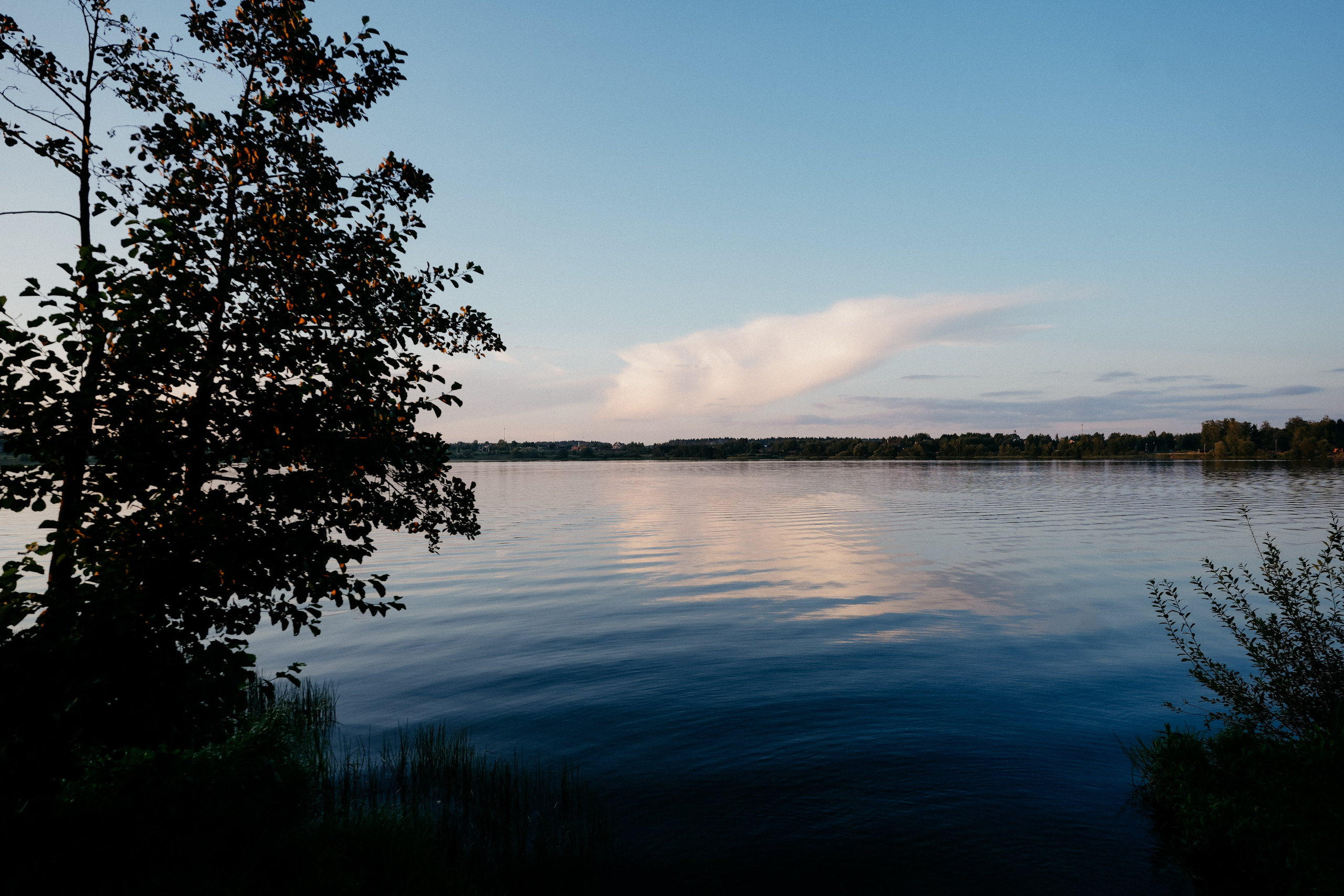 ArrowMedia. Фотограф в Москве Дмитрий Рогов