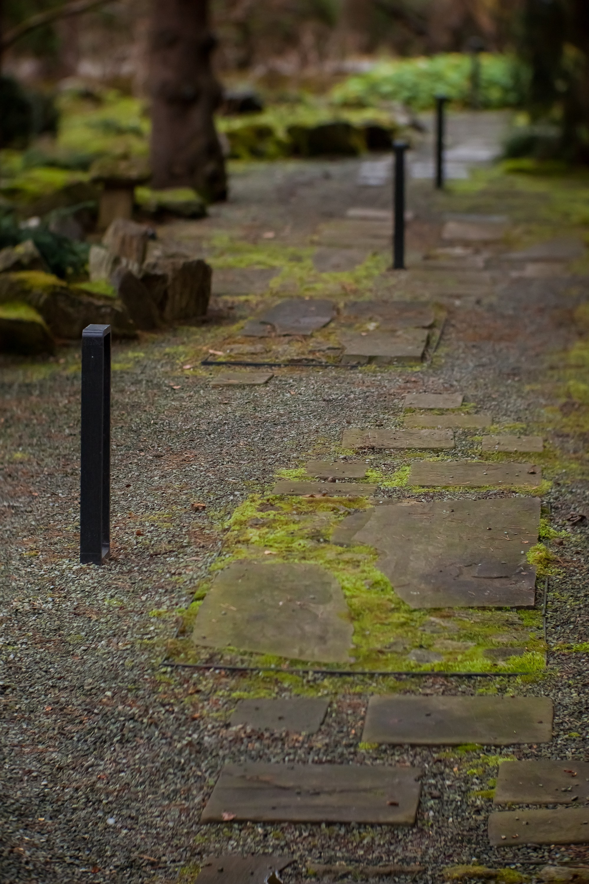 ОСТОРОЖНО МОХ. Туманов Виталий — фотограф Москва