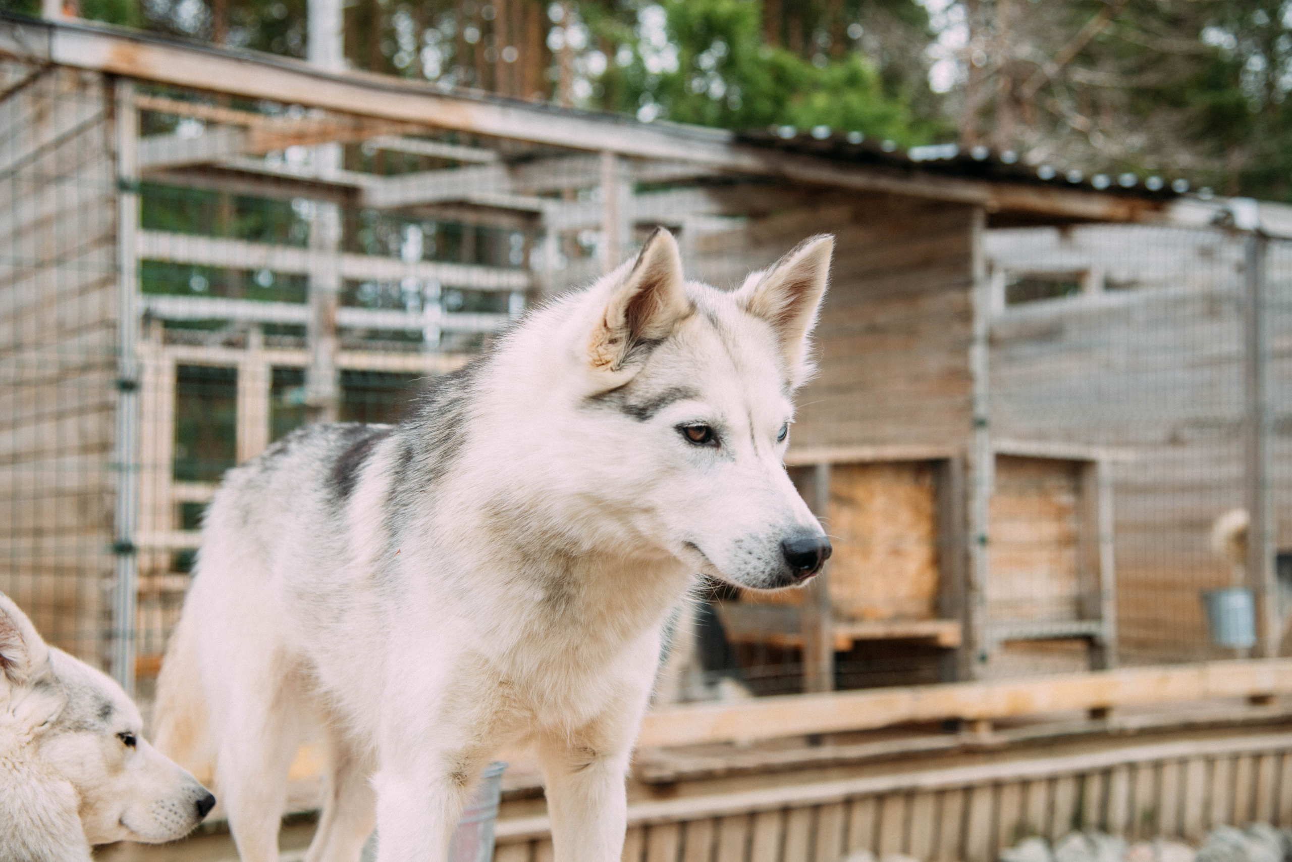 Кольский полуостров. Фотографирую для себя, своей семьи и друзей!
