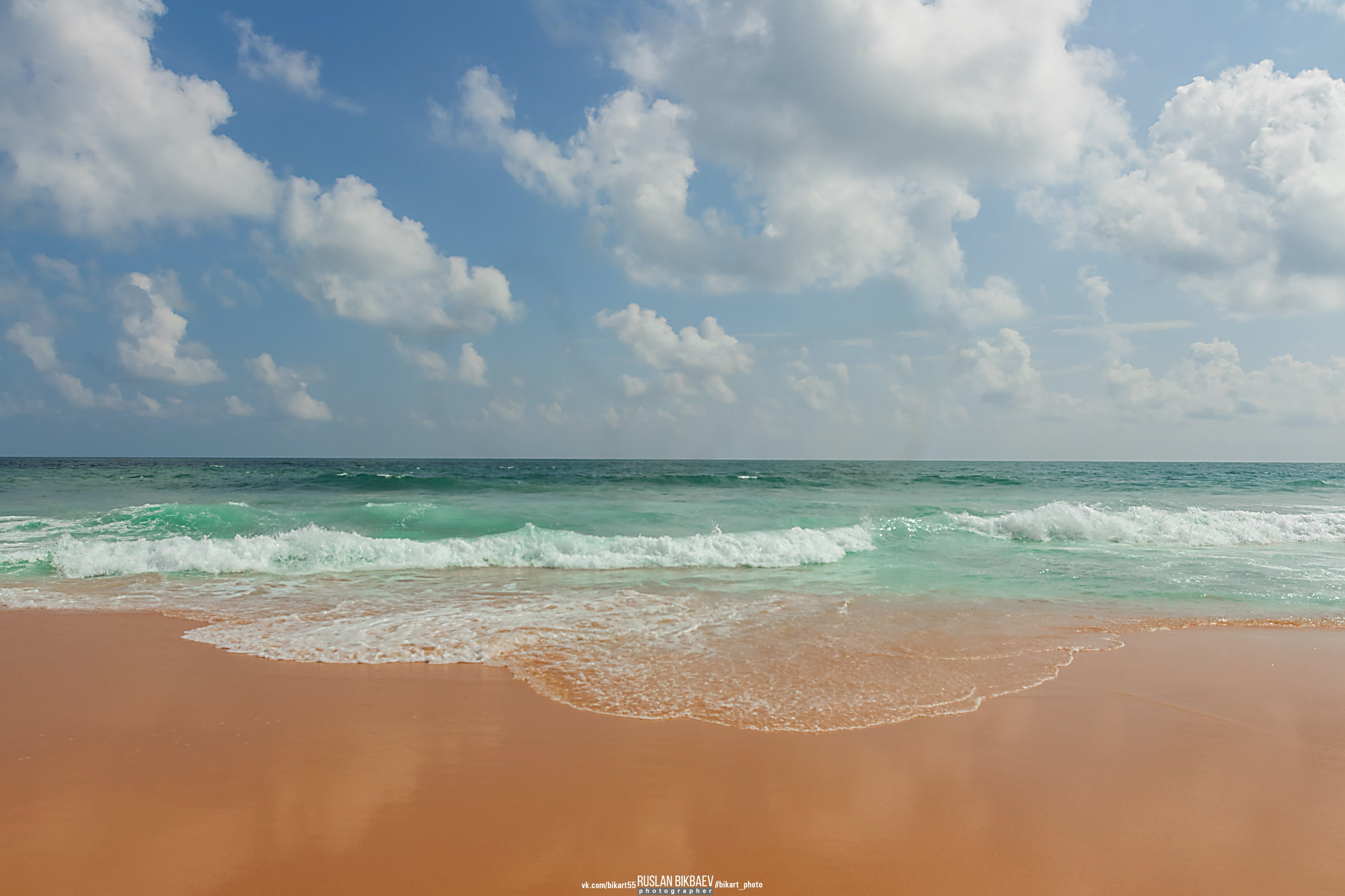 ШРИ-ЛАНКА 2025 / SRI LANKA 2025. Главная